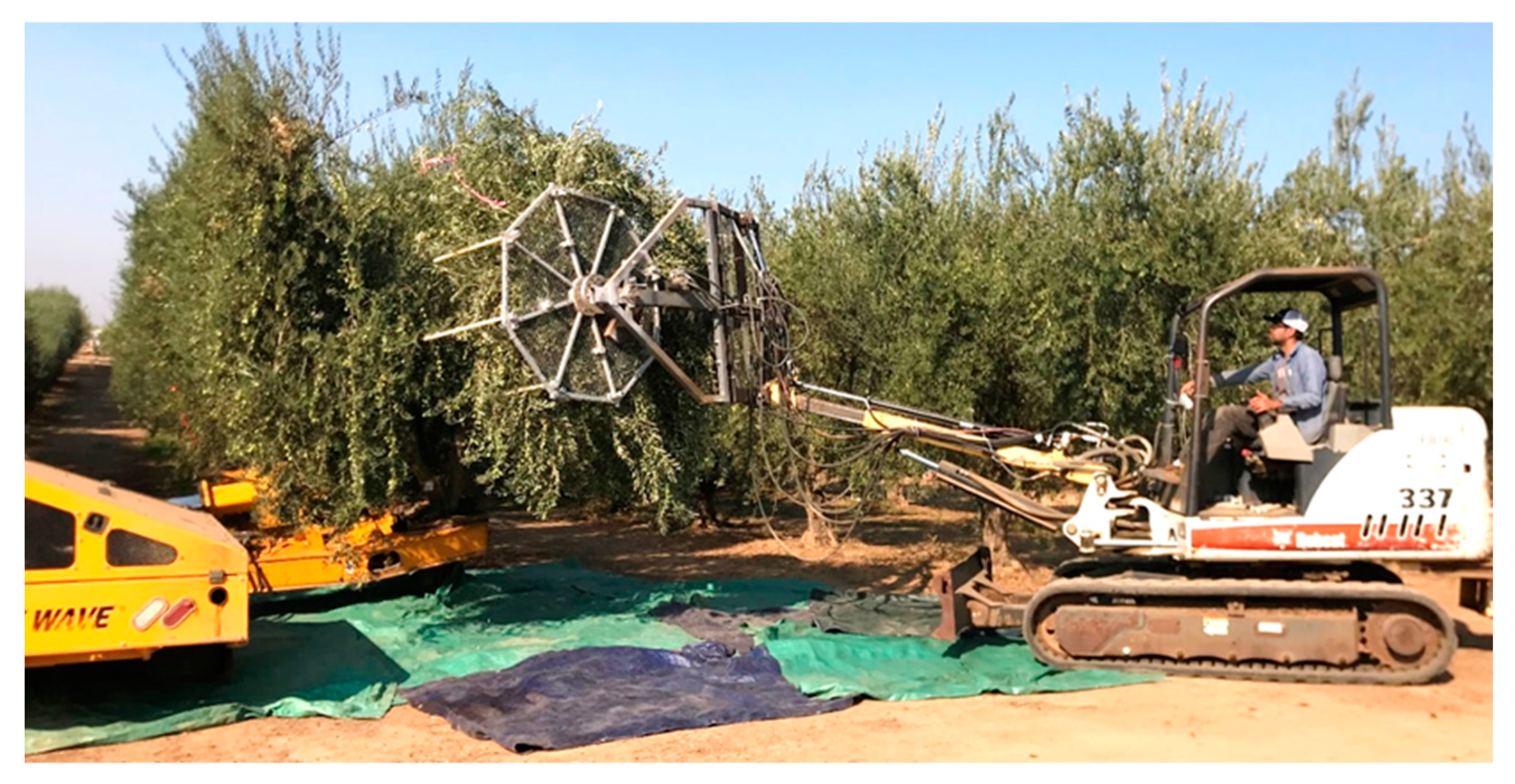 Horticulturae 09 00640 g006