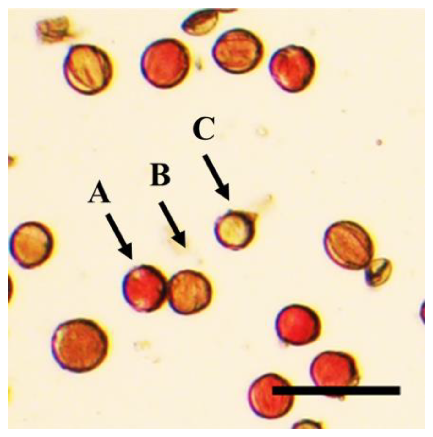 Horticulturae 09 00658 g002 Horticulturae 09 00658 g002