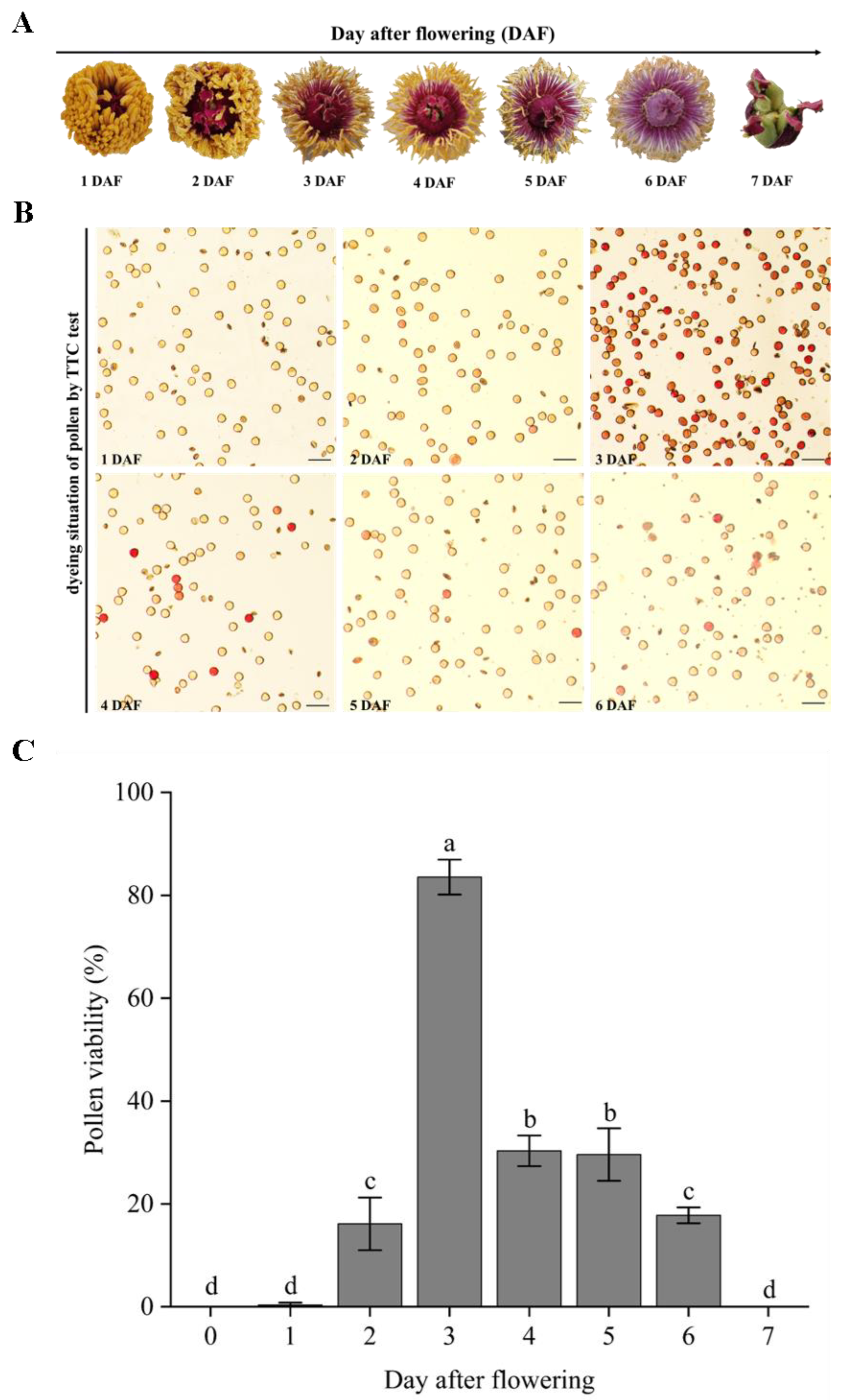 Horticulturae 09 00658 g006 Horticulturae 09 00658 g006