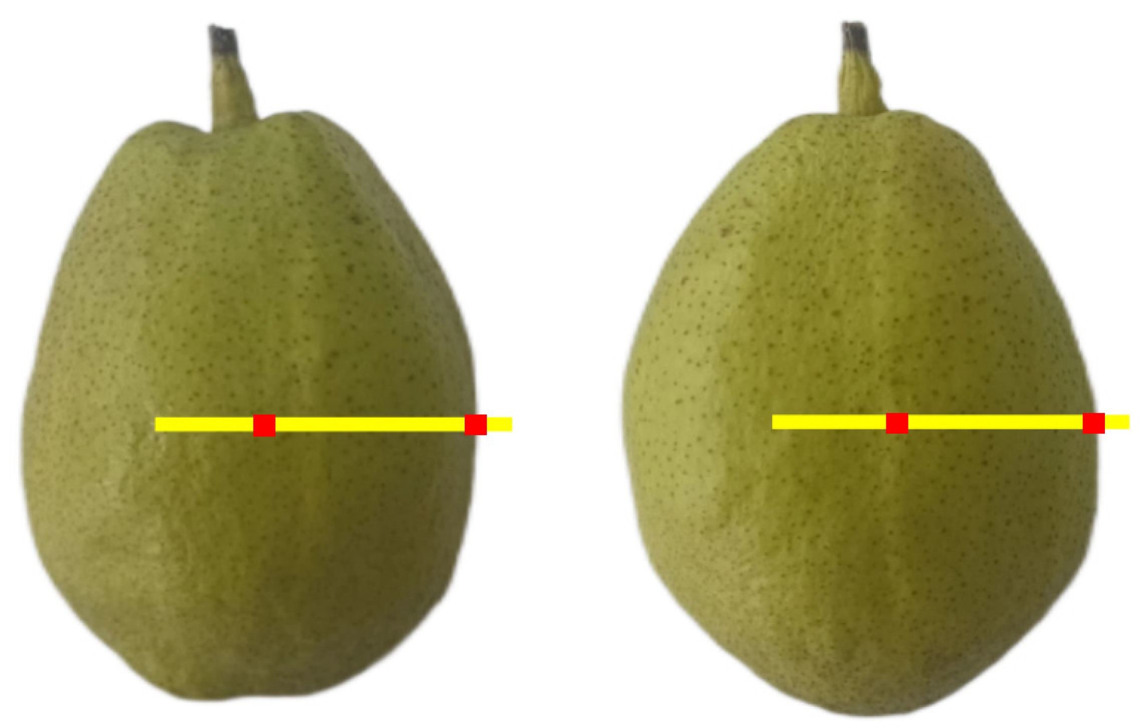 Horticulturae 09 00666 g003 Horticulturae 09 00666 g003