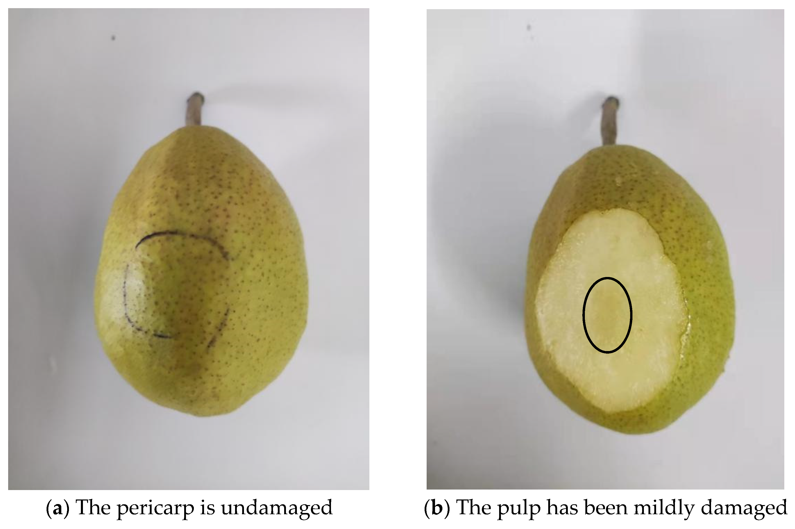 Horticulturae 09 00666 g006 Horticulturae 09 00666 g006