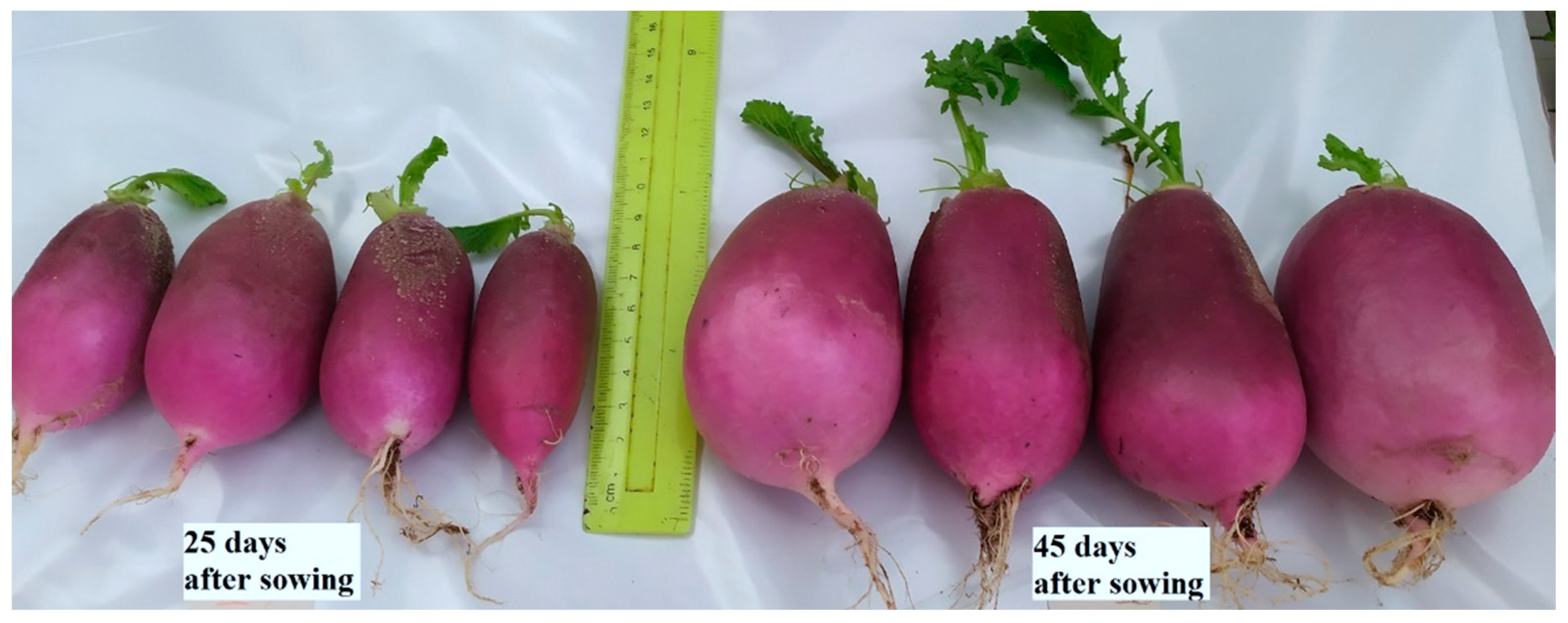 Horticulturae 09 00678 g005 Horticulturae 09 00678 g005