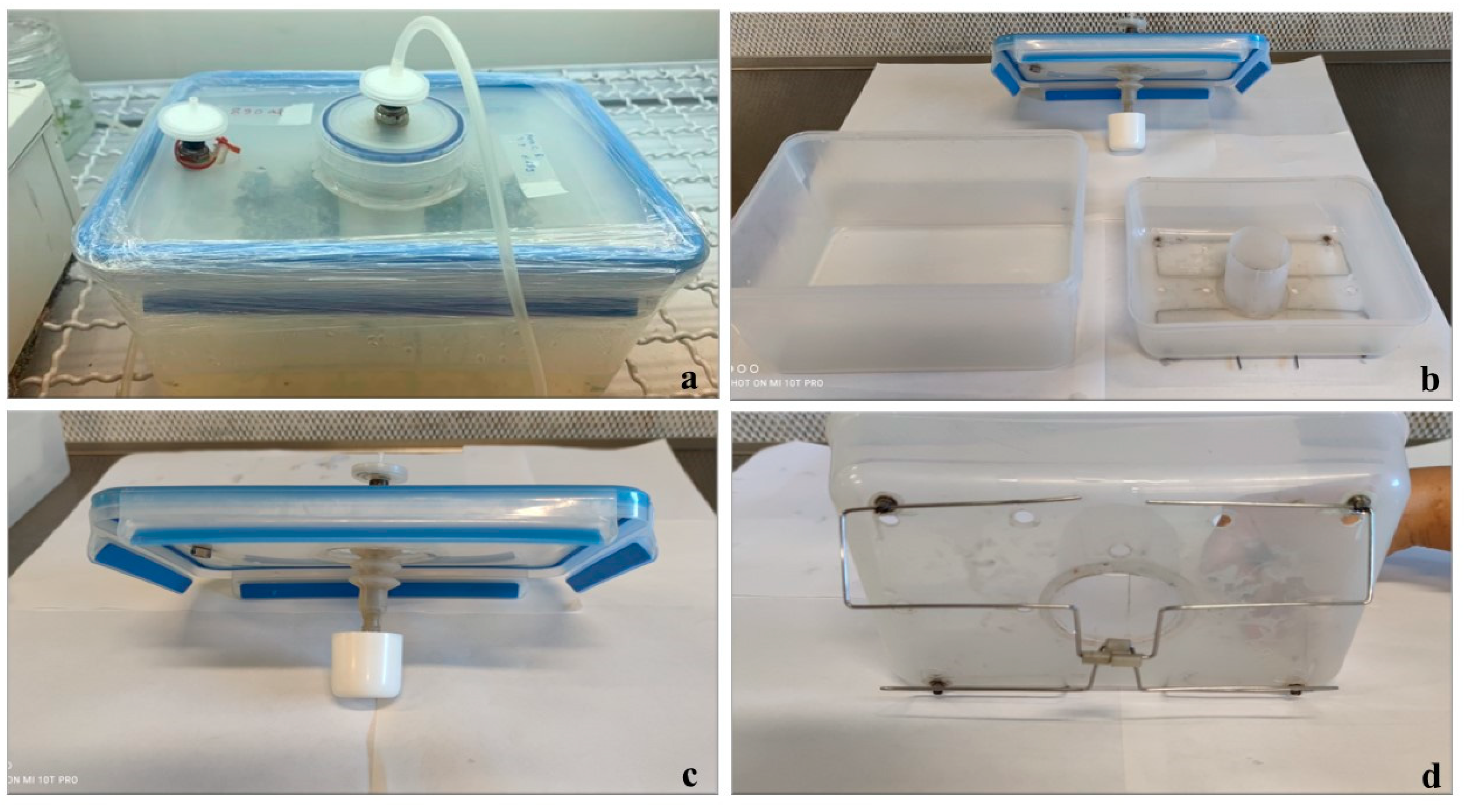 Horticulturae 09 00680 g001 Horticulturae 09 00680 g001