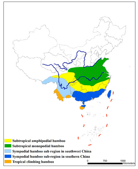 Research Progress and a Prospect Analysis of Asexual Bamboo