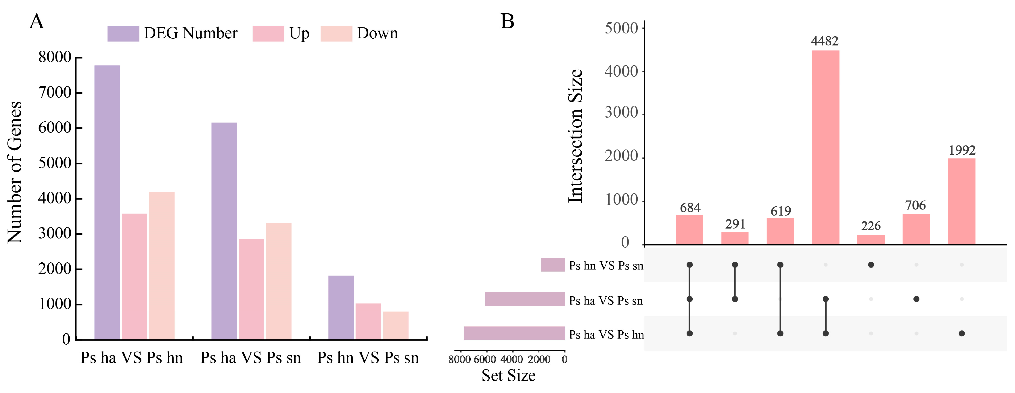 Horticulturae 09 00694 g002 Horticulturae 09 00694 g002