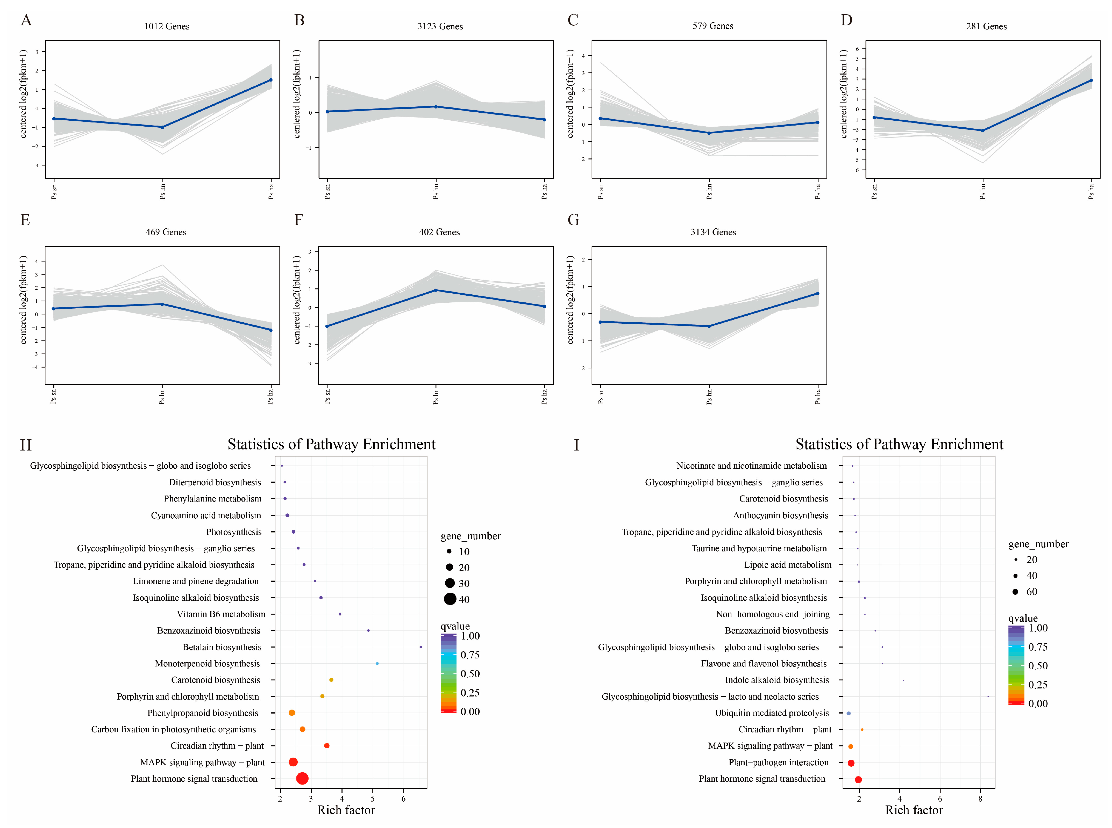 Horticulturae 09 00694 g004 Horticulturae 09 00694 g004