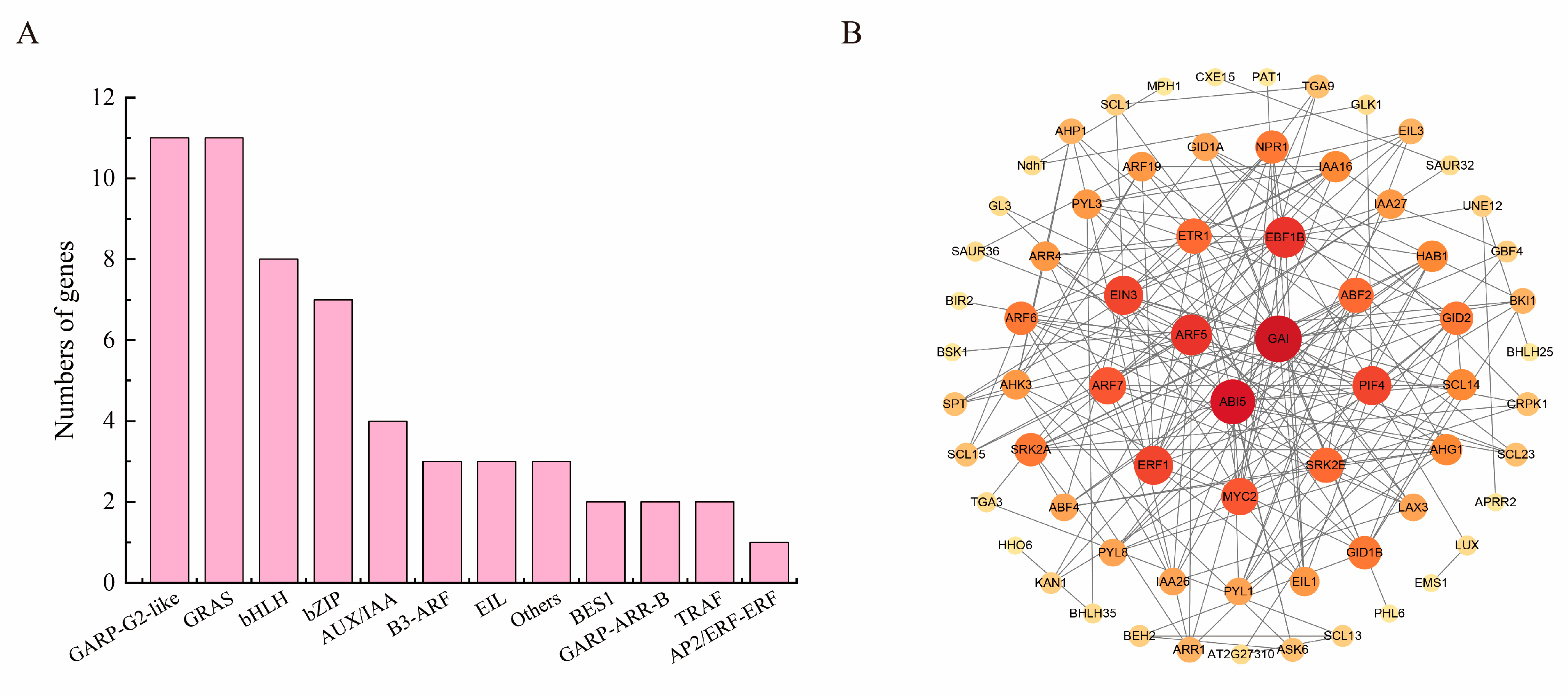 Horticulturae 09 00694 g006 Horticulturae 09 00694 g006