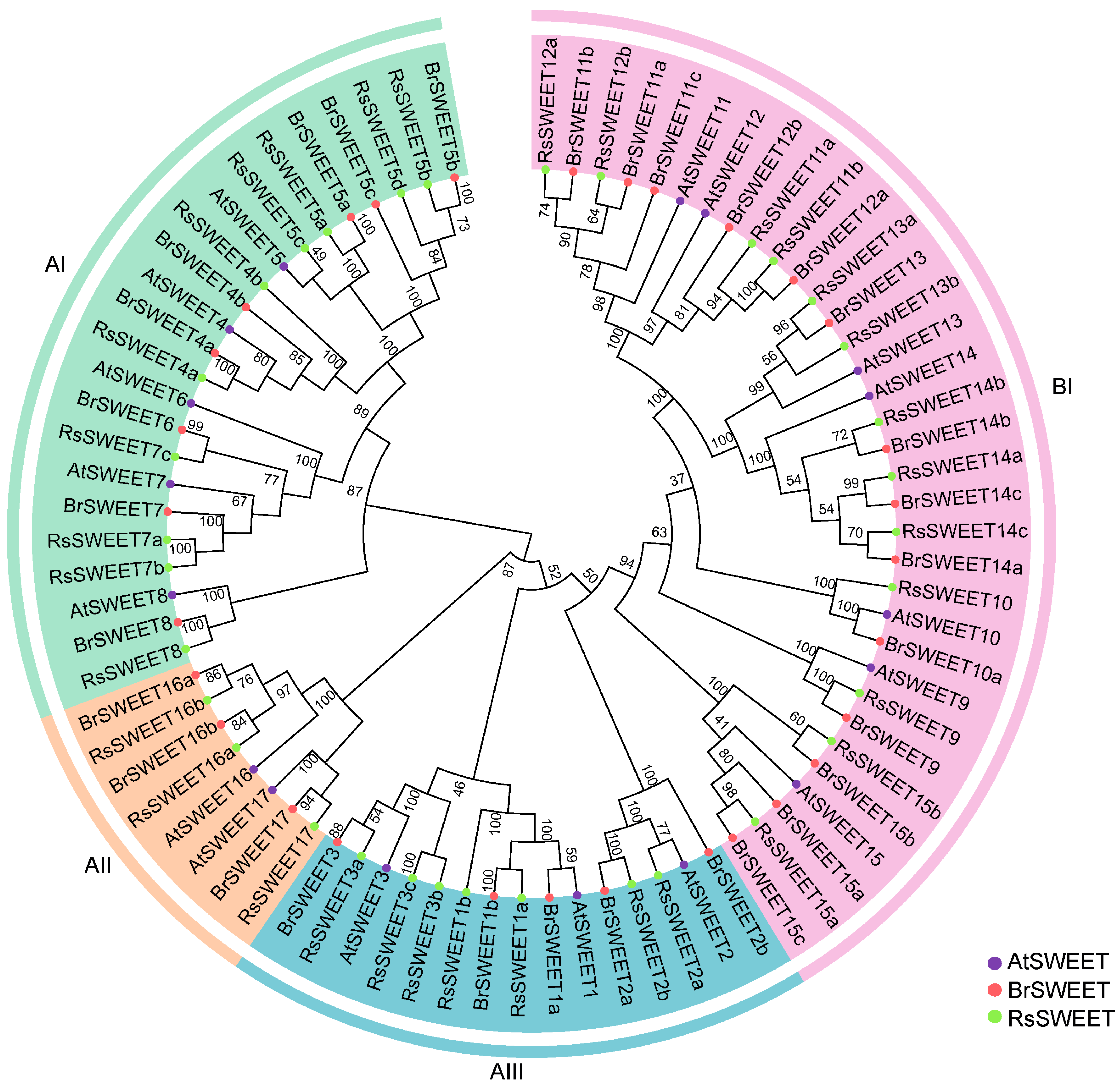 Horticulturae 09 00698 g001