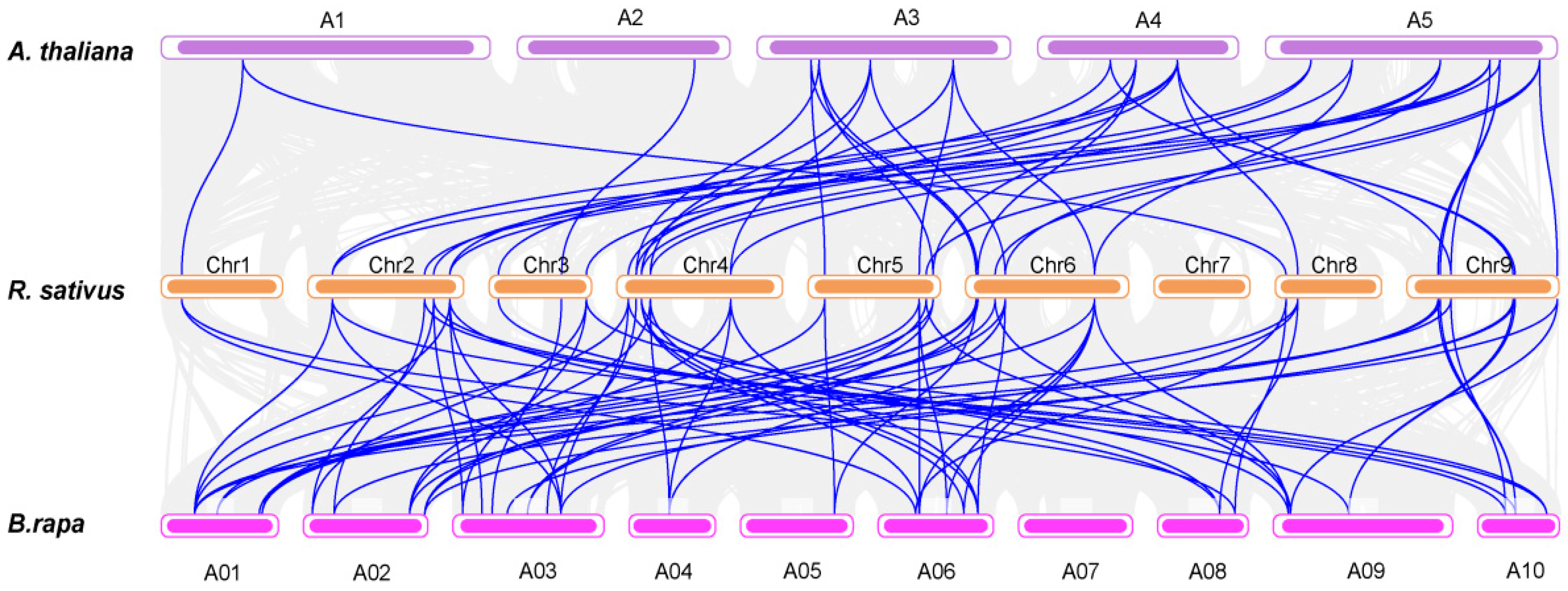 Horticulturae 09 00698 g002