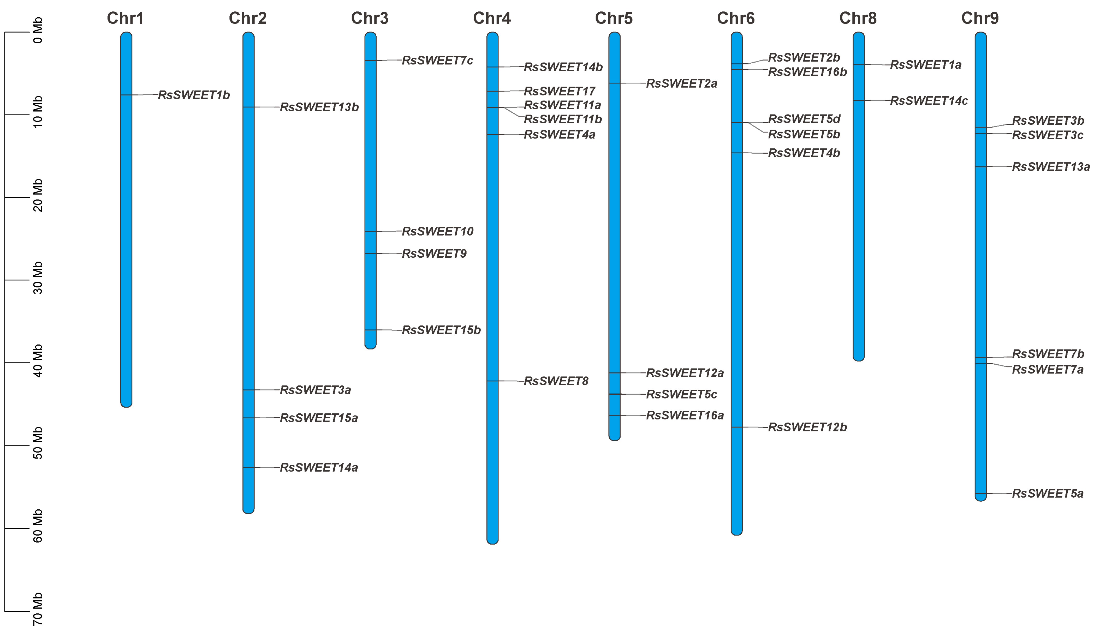 Horticulturae 09 00698 g003