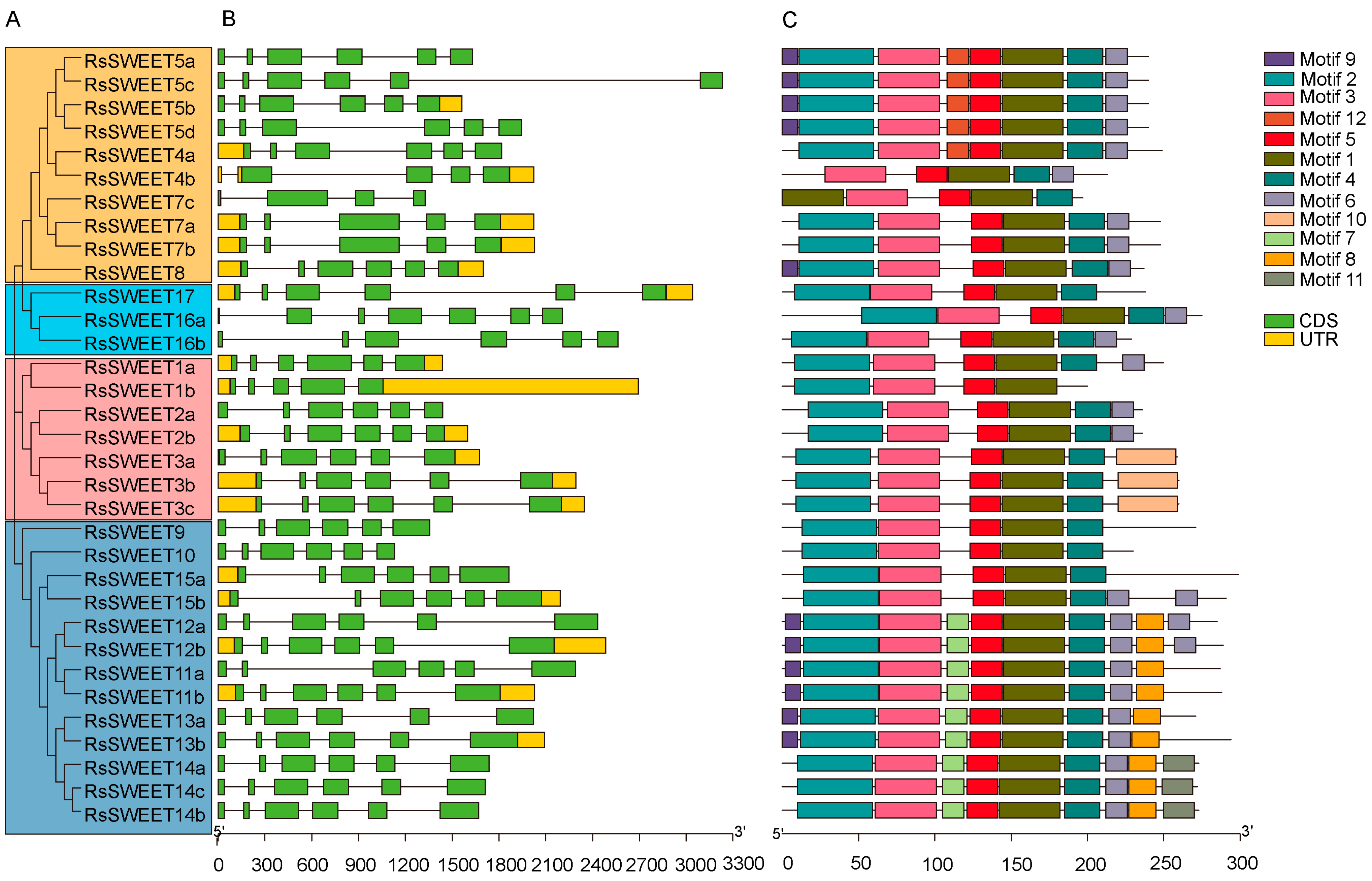 Horticulturae 09 00698 g004