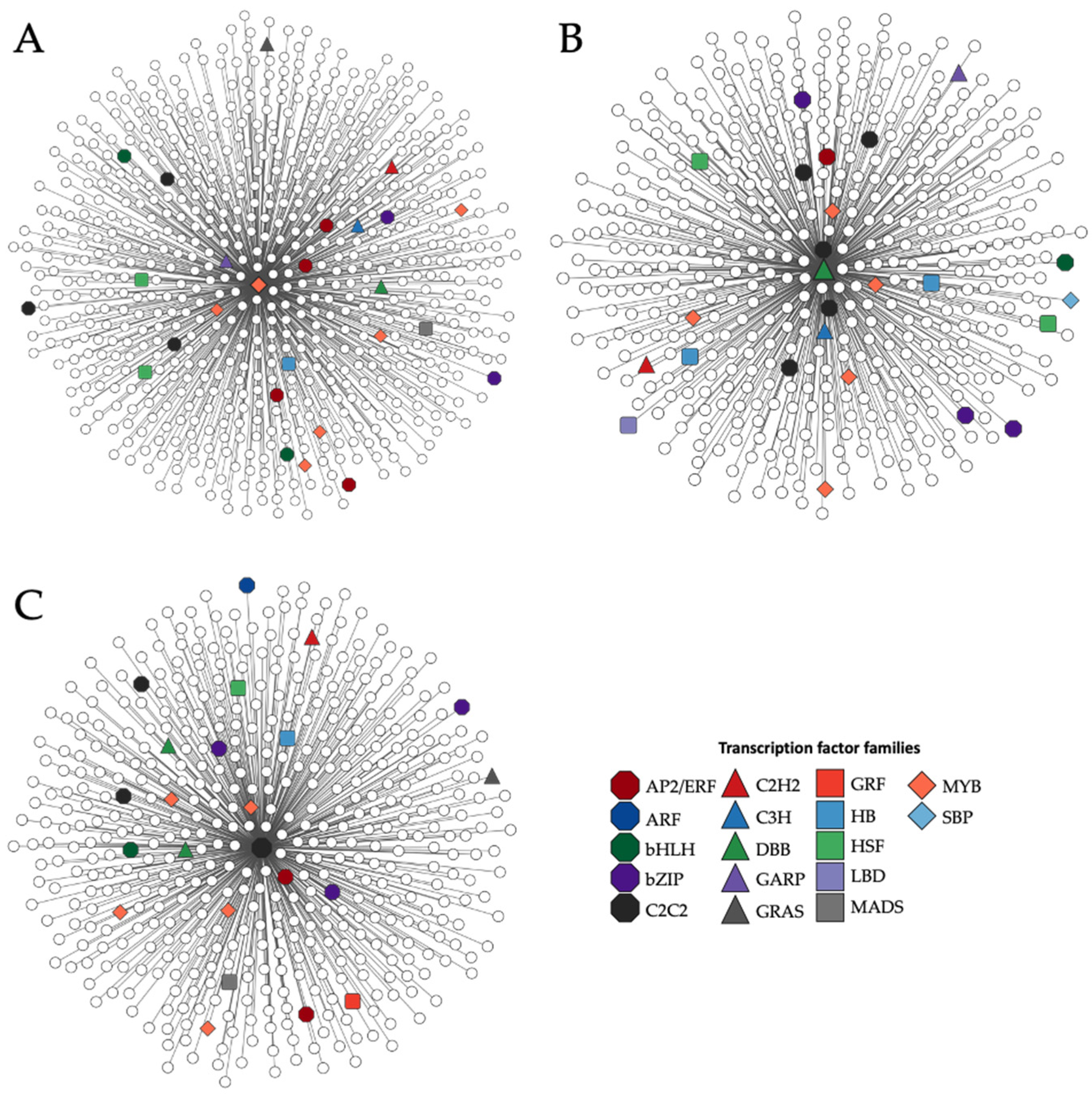 Horticulturae 09 00699 g006 Horticulturae 09 00699 g006