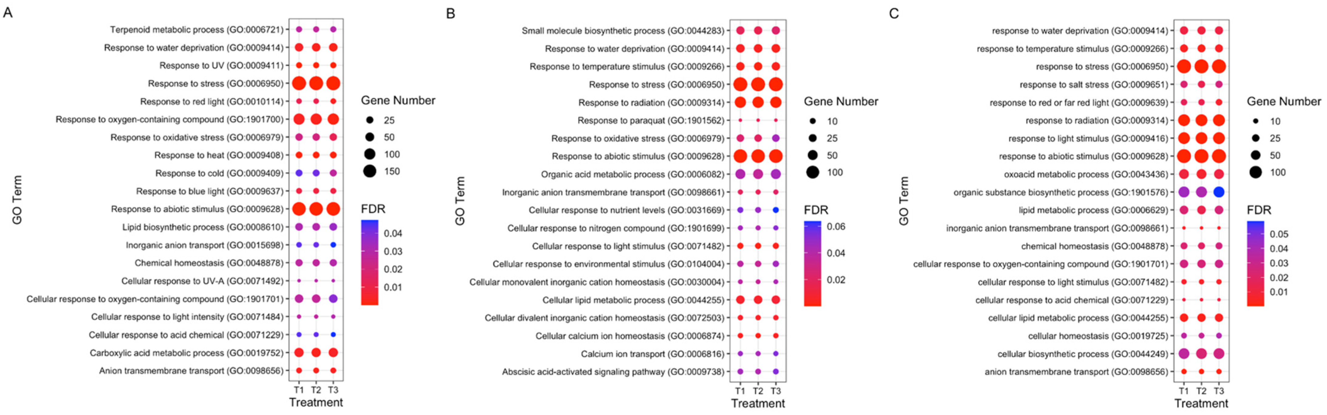 Horticulturae 09 00699 g007 Horticulturae 09 00699 g007