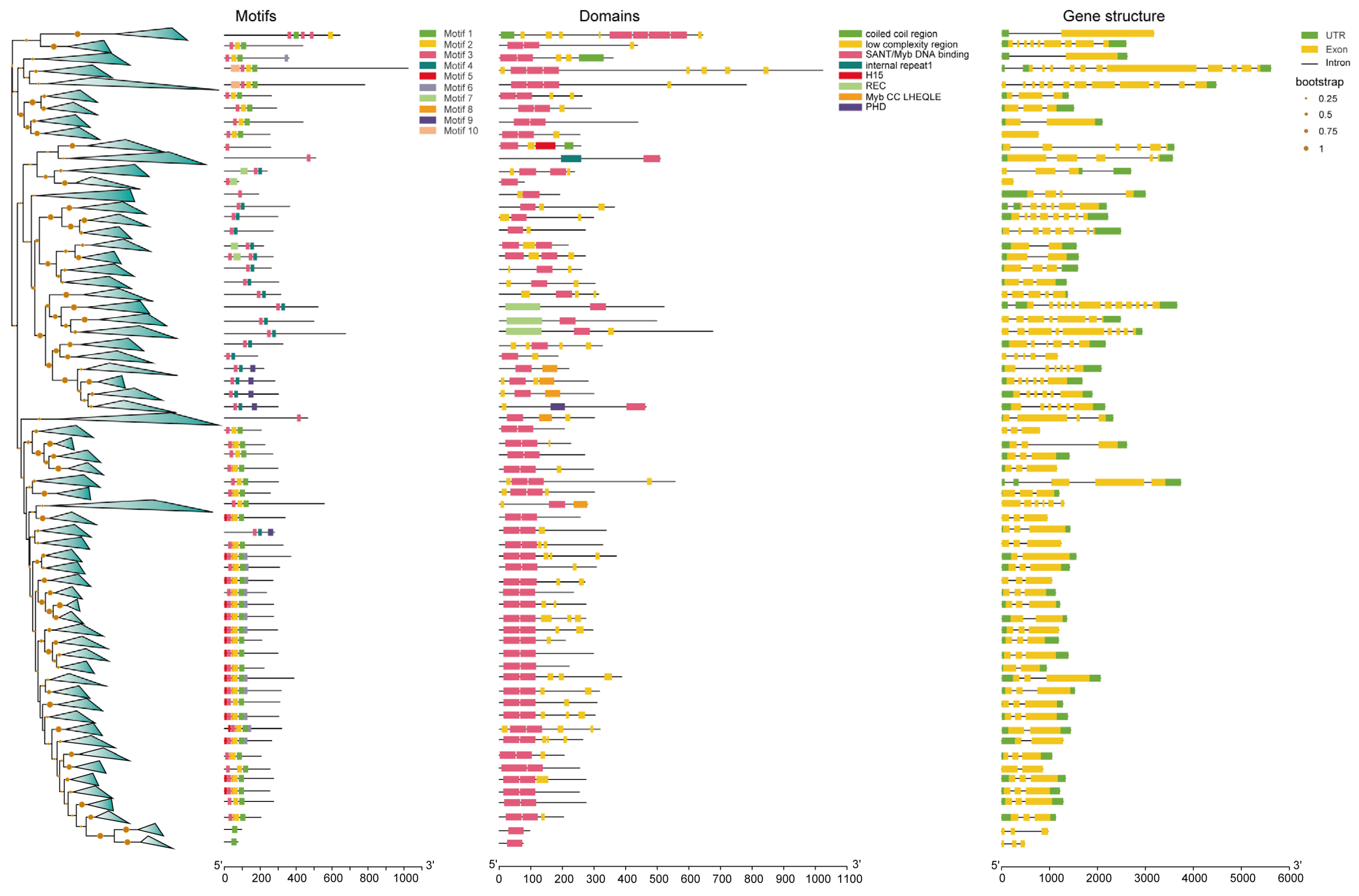 Horticulturae 09 00708 g003 Horticulturae 09 00708 g003
