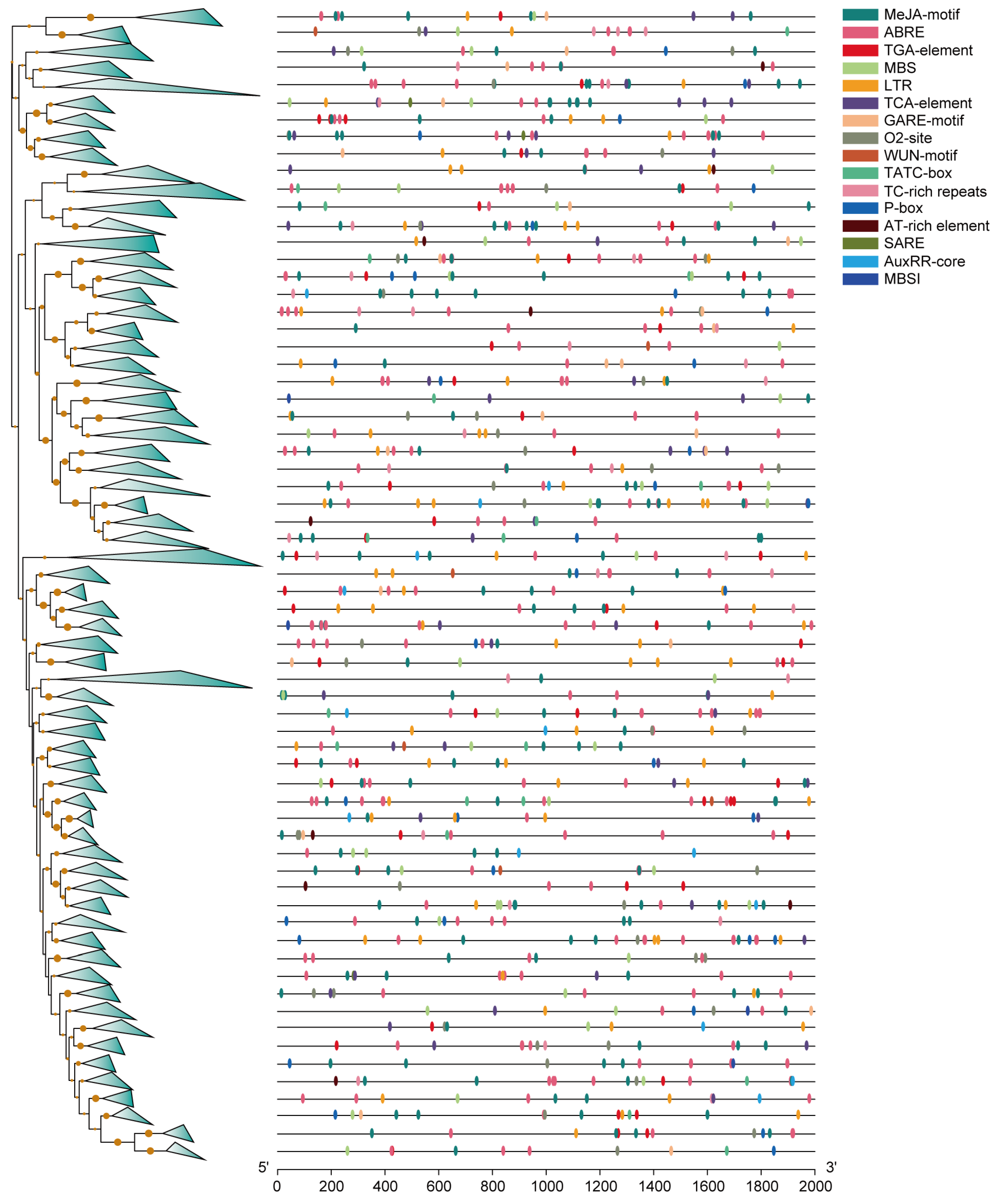 Horticulturae 09 00708 g004 Horticulturae 09 00708 g004