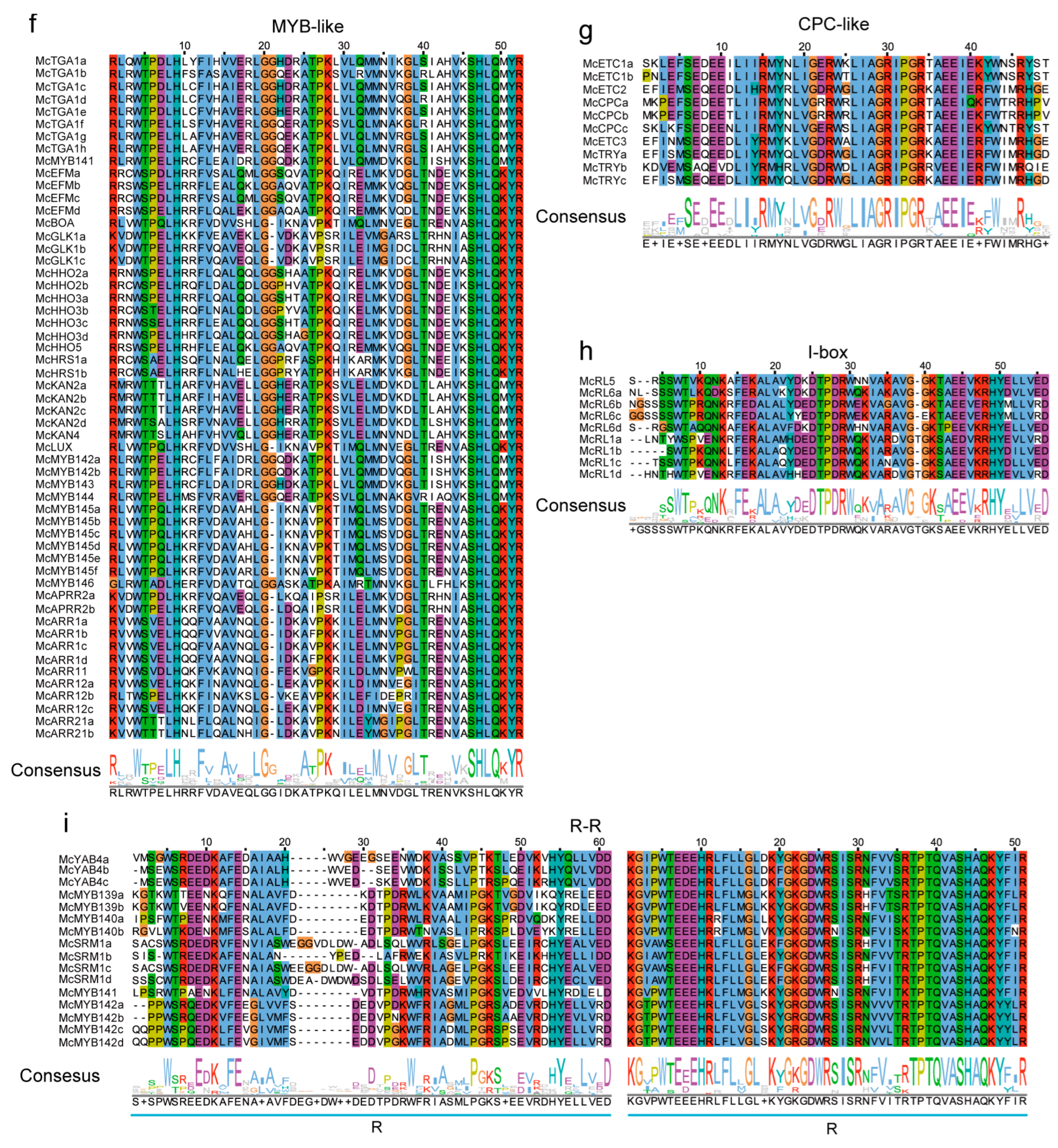 Horticulturae 09 00708 g006b Horticulturae 09 00708 g006b