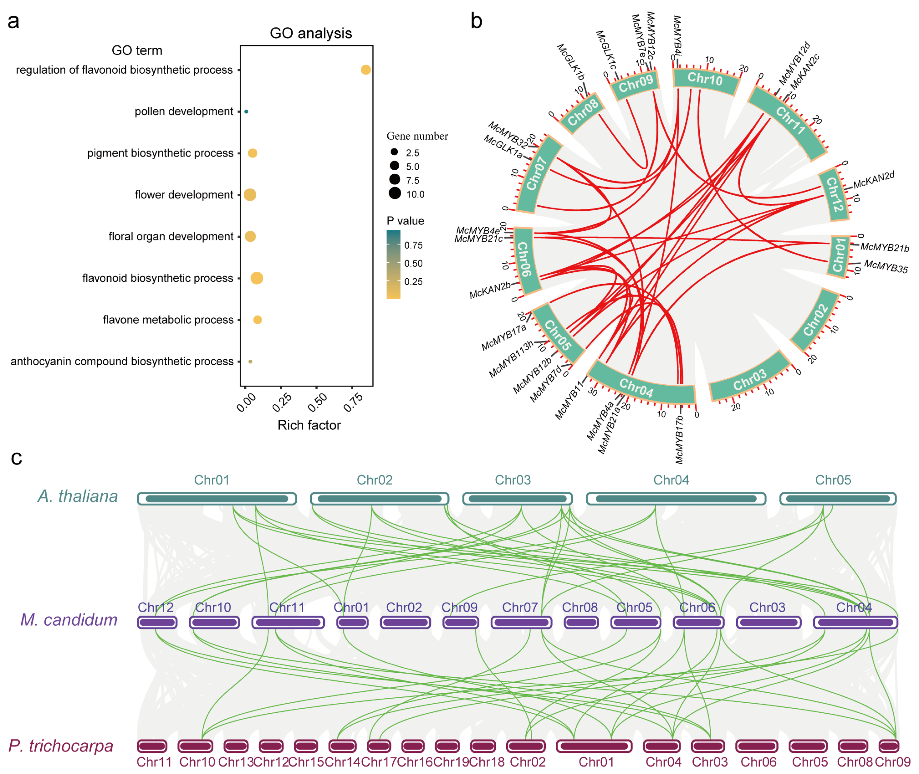 Horticulturae 09 00708 g007 Horticulturae 09 00708 g007
