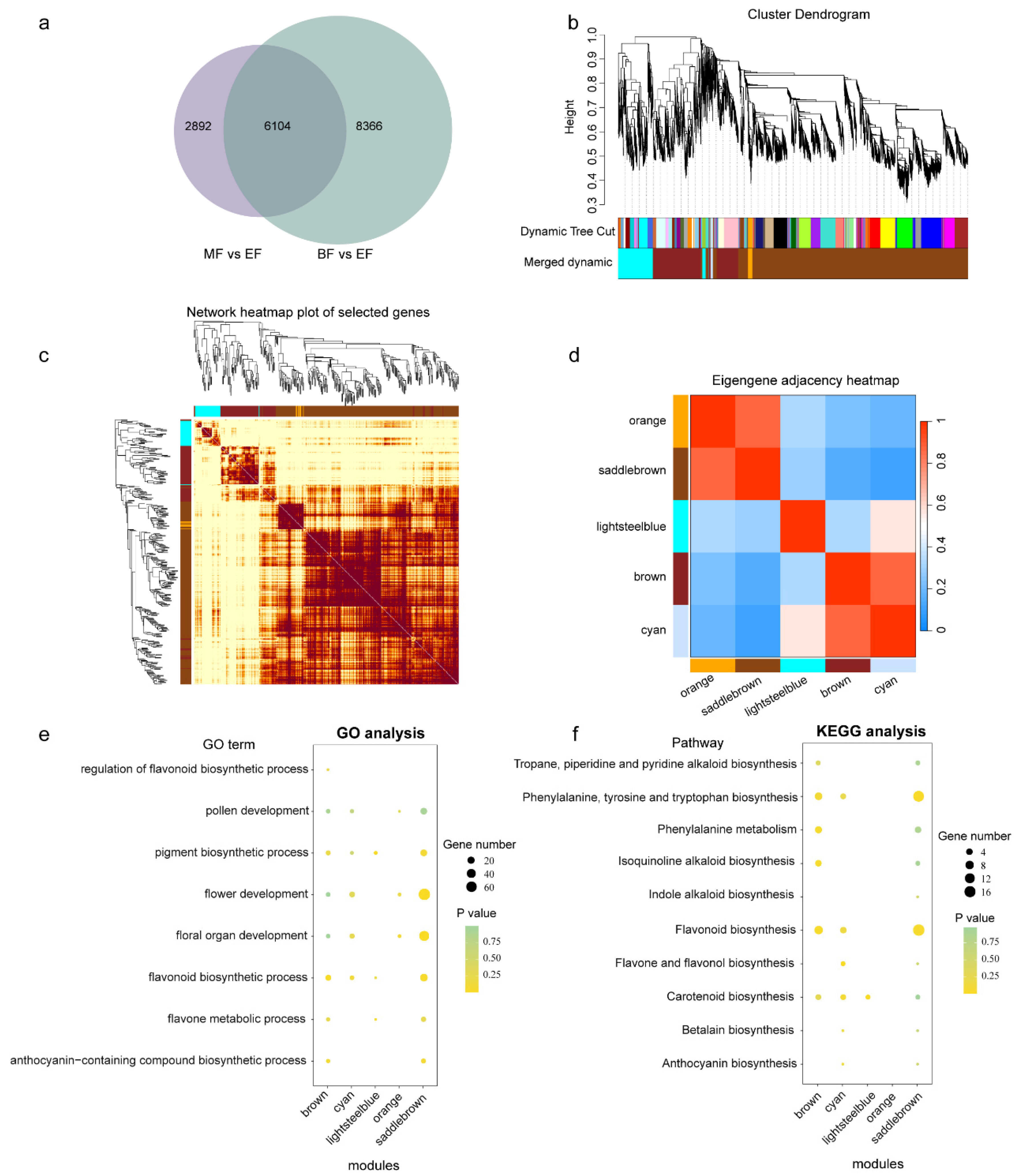 Horticulturae 09 00708 g008 Horticulturae 09 00708 g008