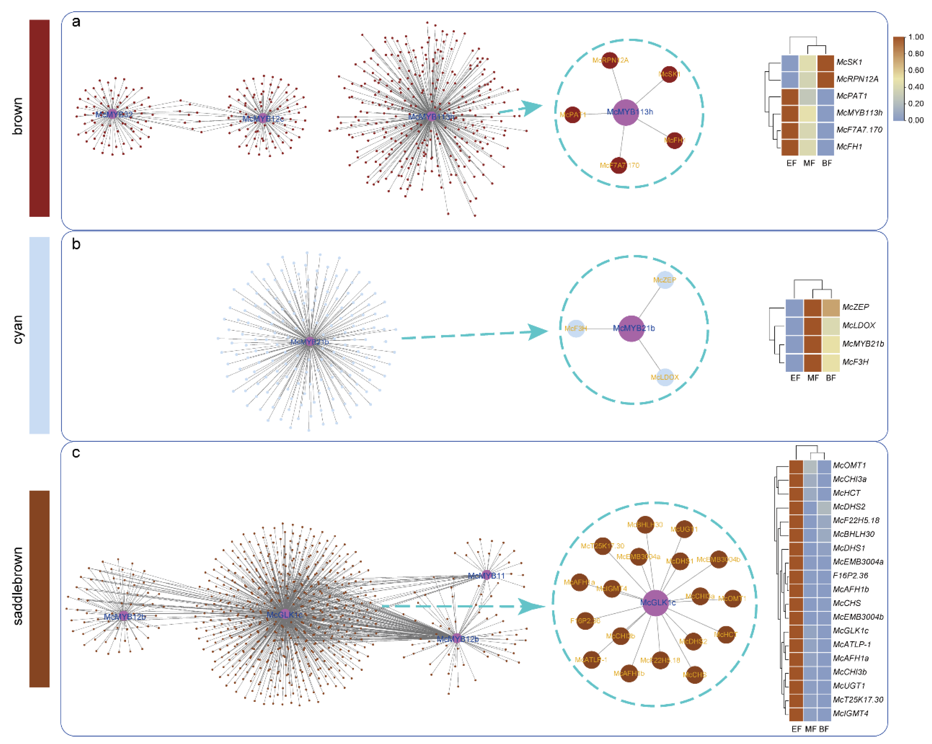 Horticulturae 09 00708 g009 Horticulturae 09 00708 g009