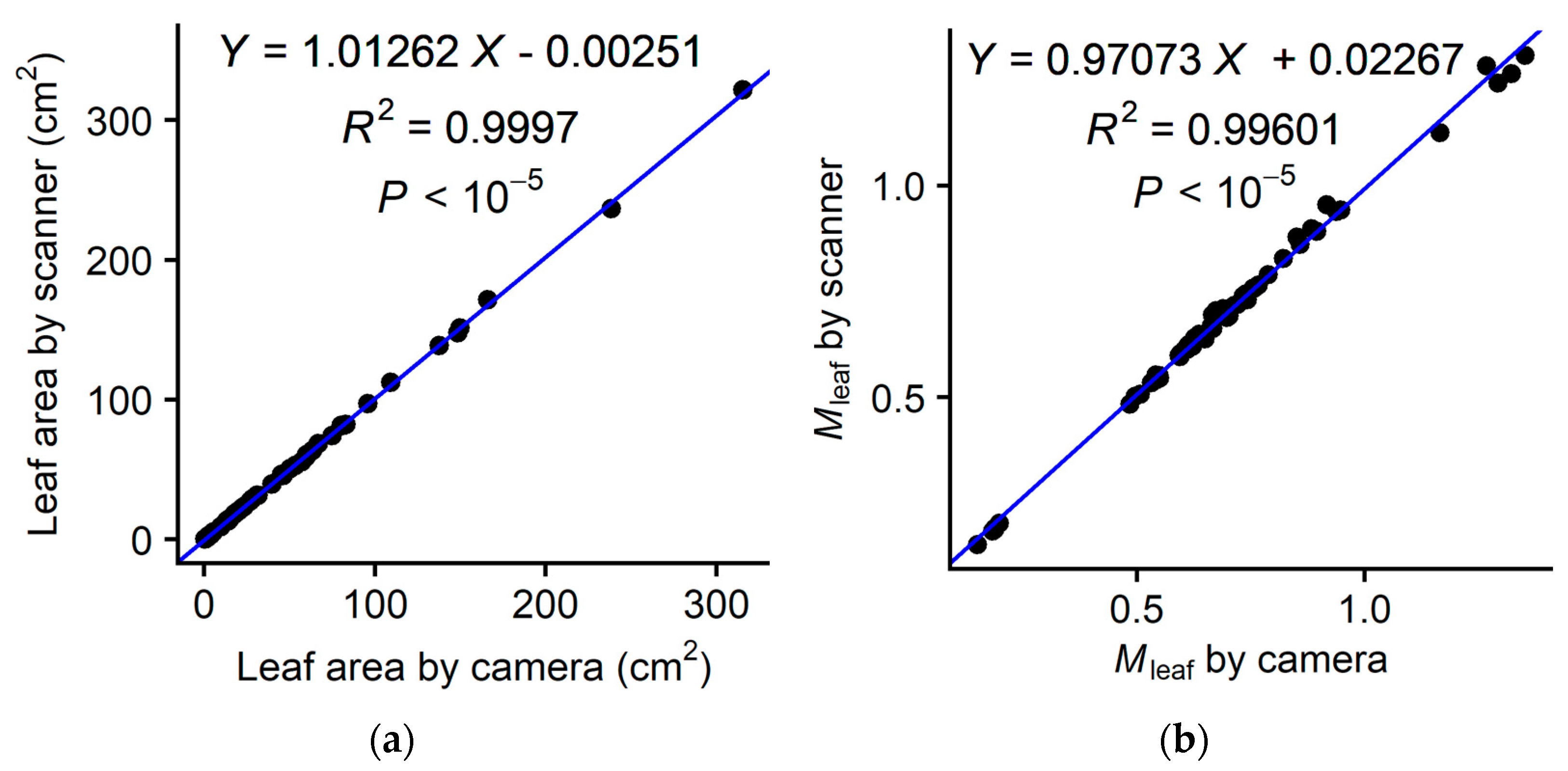 Horticulturae 09 00709 g005 Horticulturae 09 00709 g005