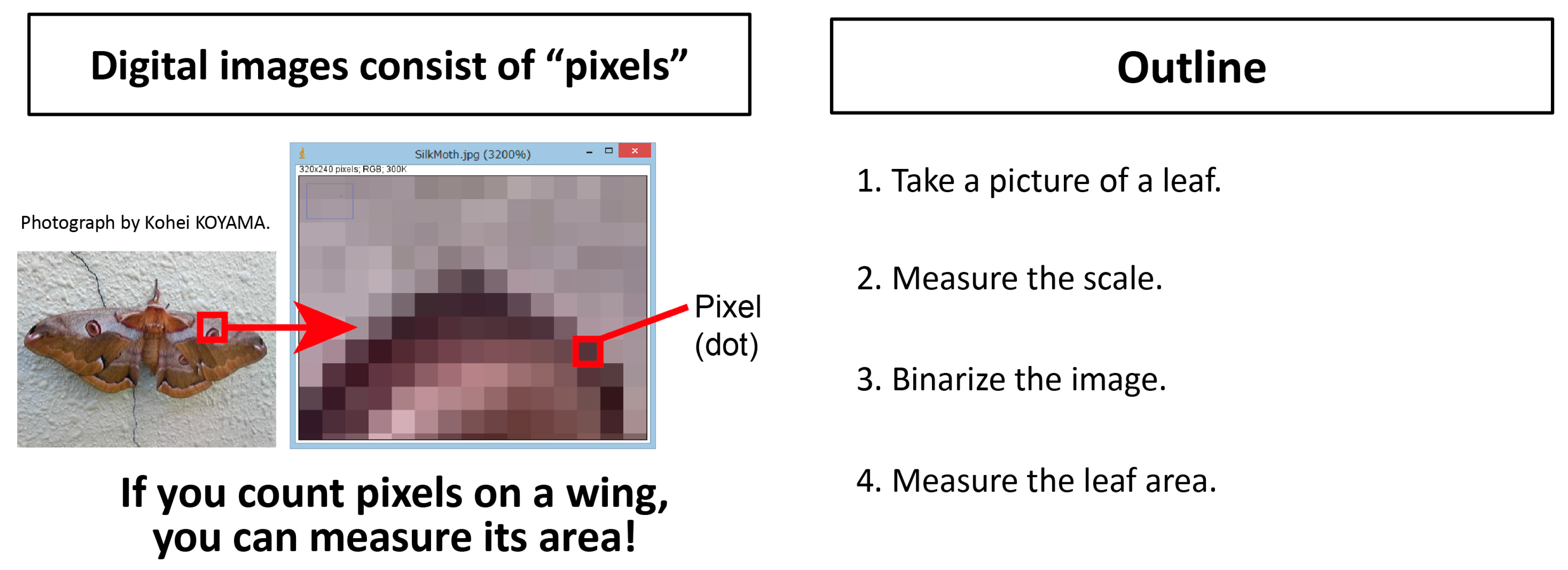 Horticulturae 09 00709 g0a1 Horticulturae 09 00709 g0a1