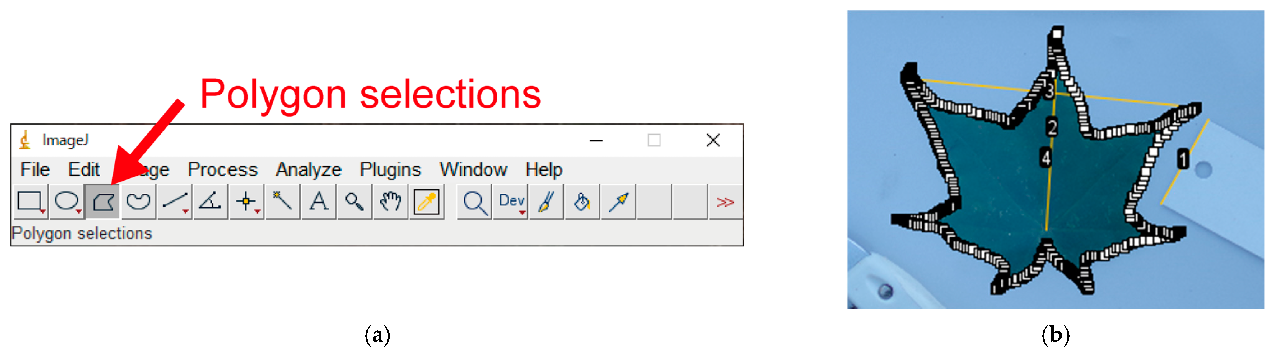 Horticulturae 09 00709 g0a10 Horticulturae 09 00709 g0a10