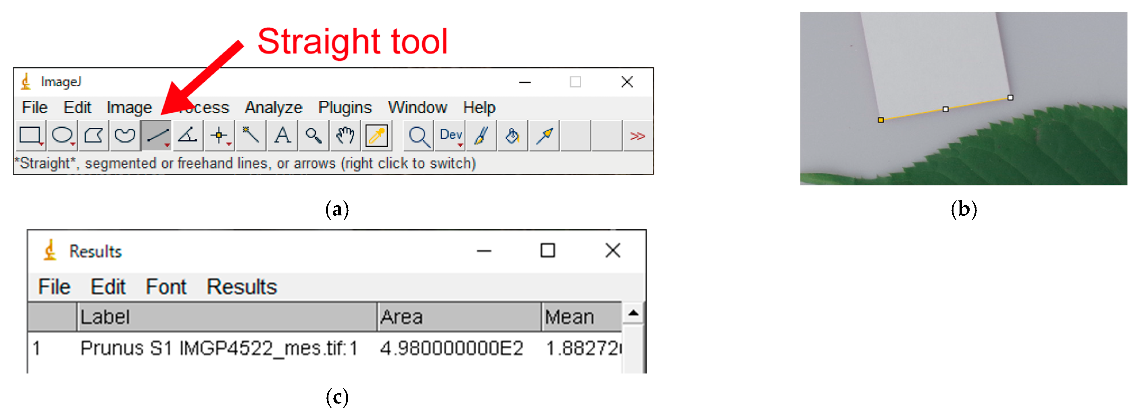 Horticulturae 09 00709 g0a3 Horticulturae 09 00709 g0a3