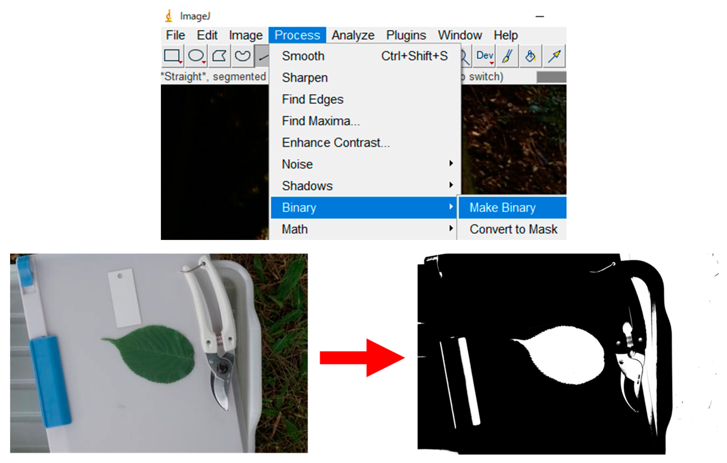 Horticulturae 09 00709 g0a4 Horticulturae 09 00709 g0a4