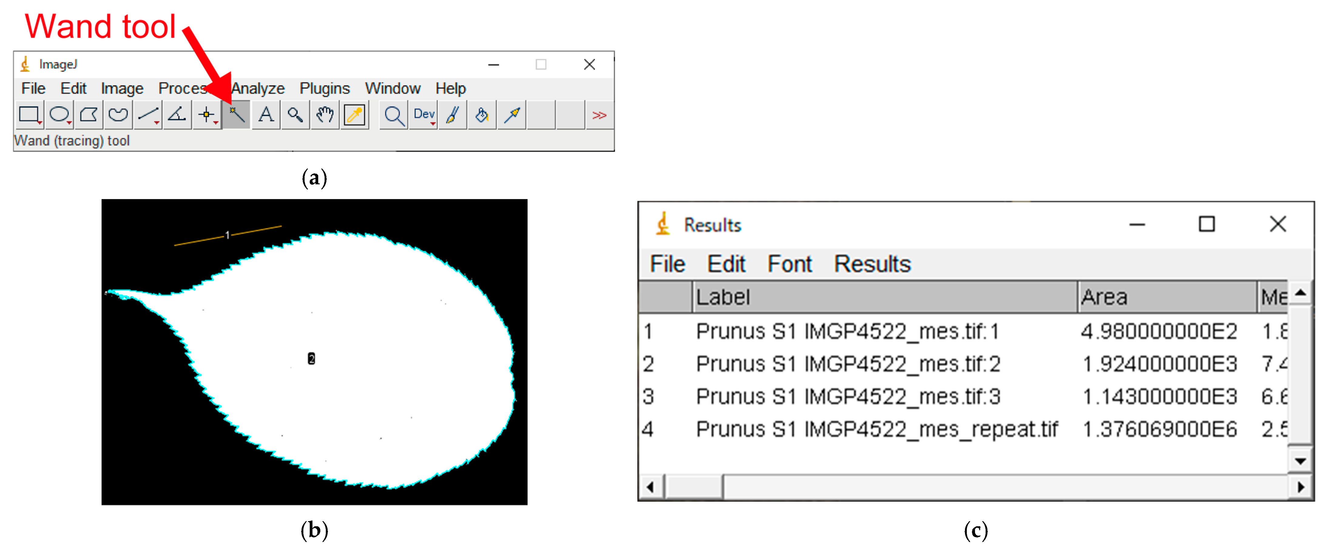 Horticulturae 09 00709 g0a6 Horticulturae 09 00709 g0a6