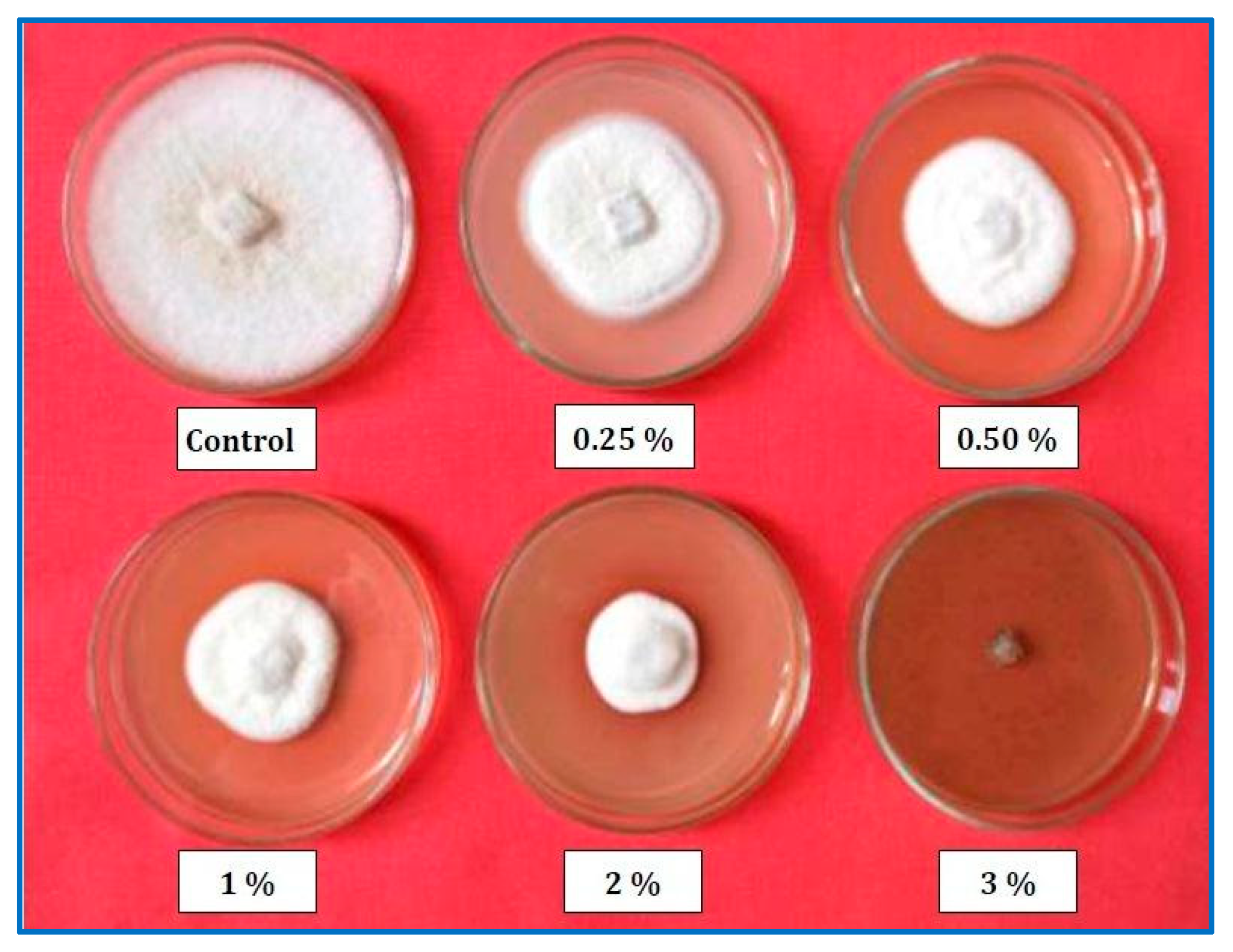 Horticulturae 09 00710 g005 Horticulturae 09 00710 g005