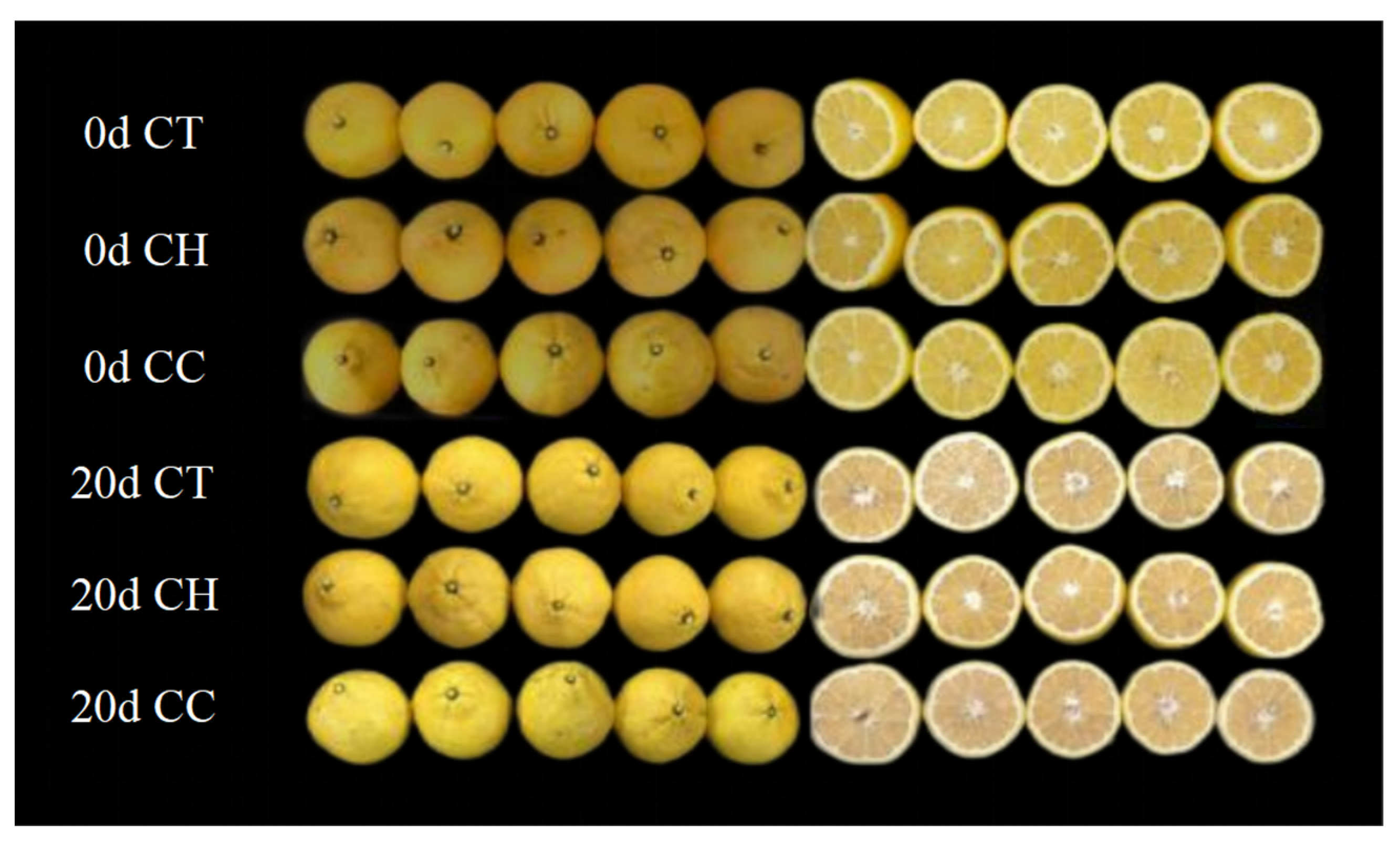 Horticulturae 09 00715 g002 Horticulturae 09 00715 g002