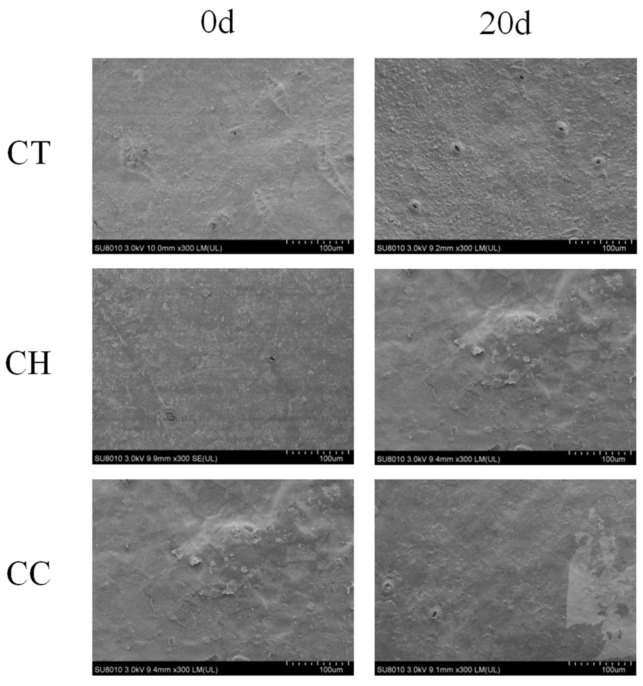 Horticulturae 09 00715 g003 Horticulturae 09 00715 g003