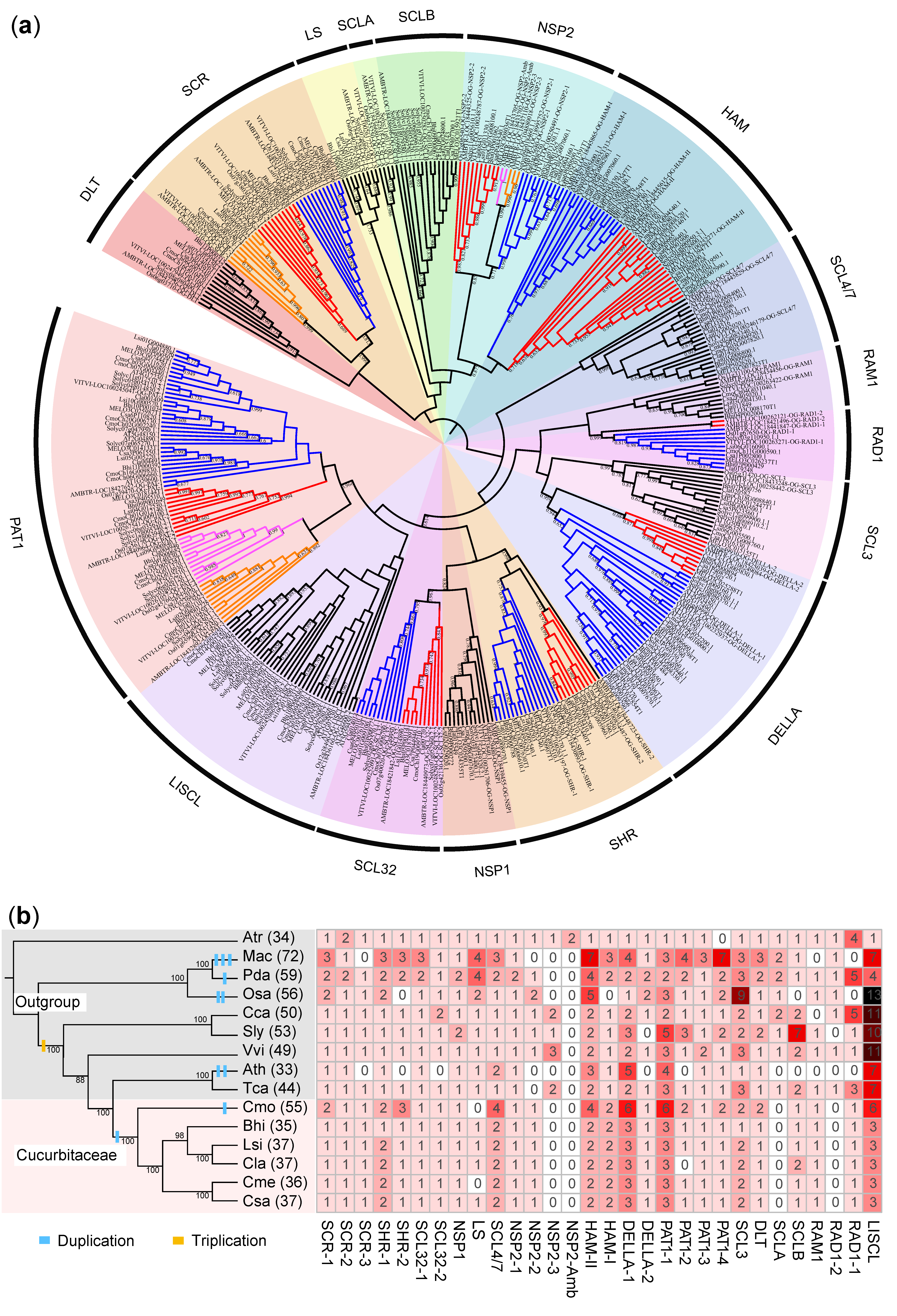 Horticulturae 09 00717 g001 Horticulturae 09 00717 g001
