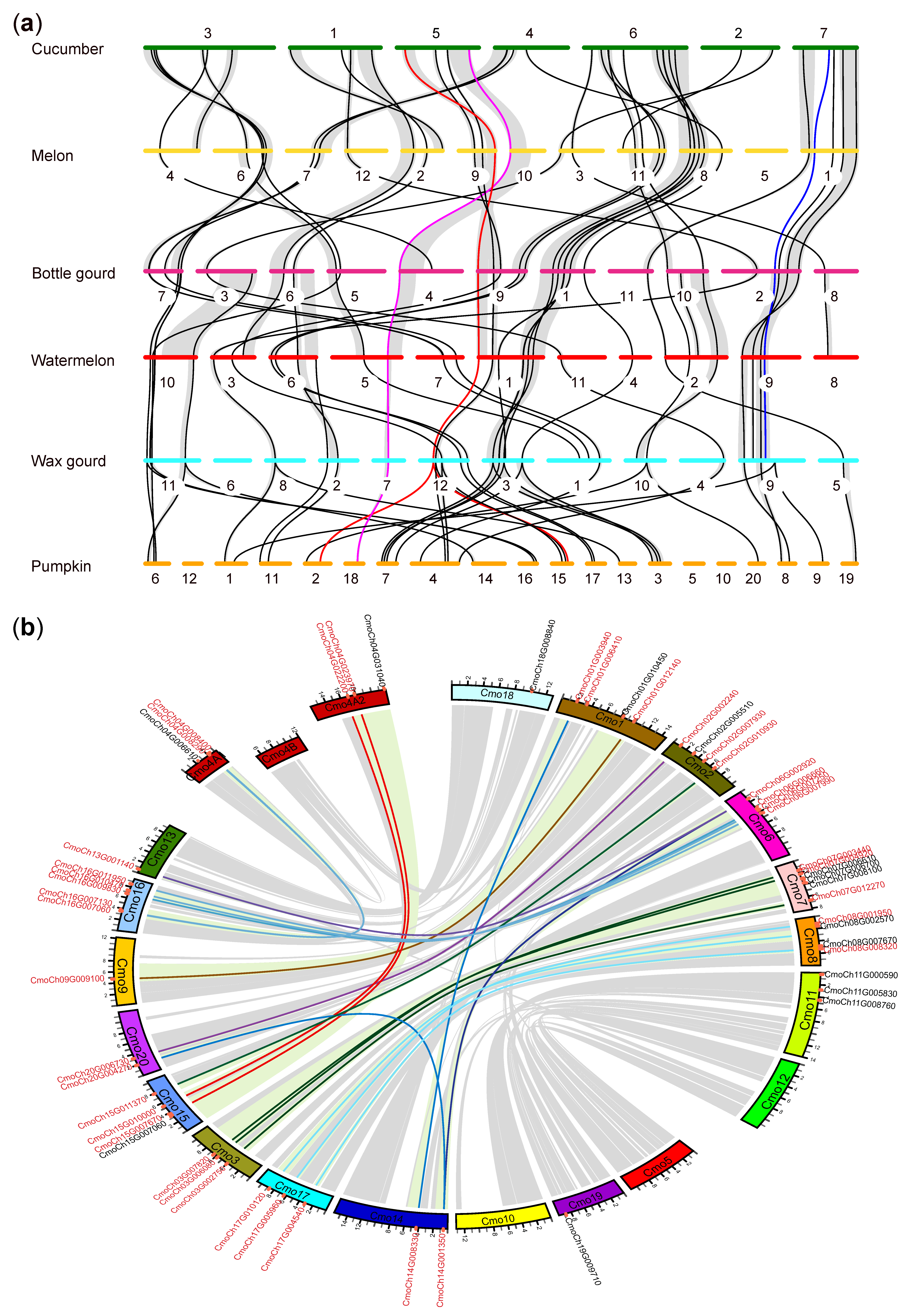 Horticulturae 09 00717 g002 Horticulturae 09 00717 g002