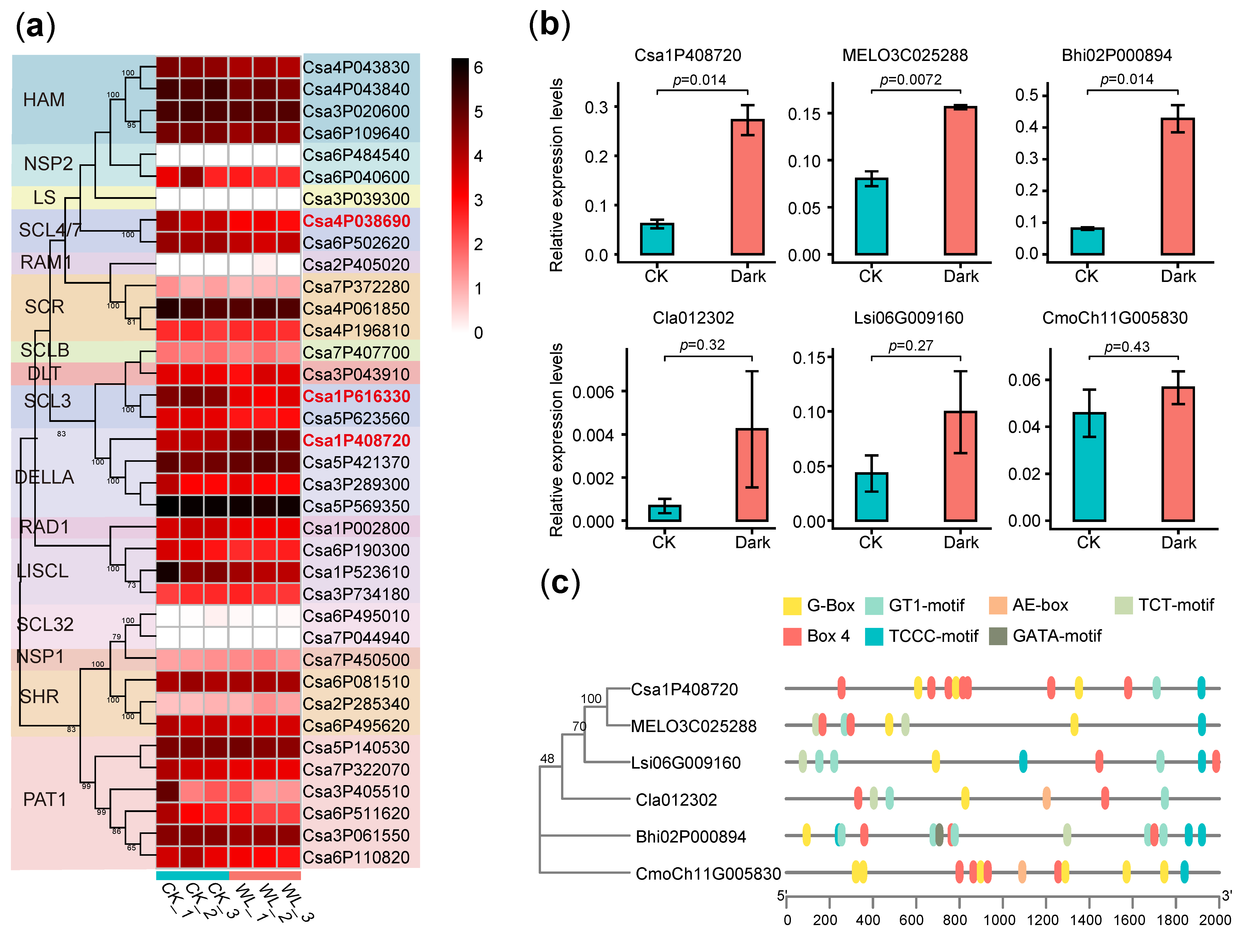 Horticulturae 09 00717 g005 Horticulturae 09 00717 g005