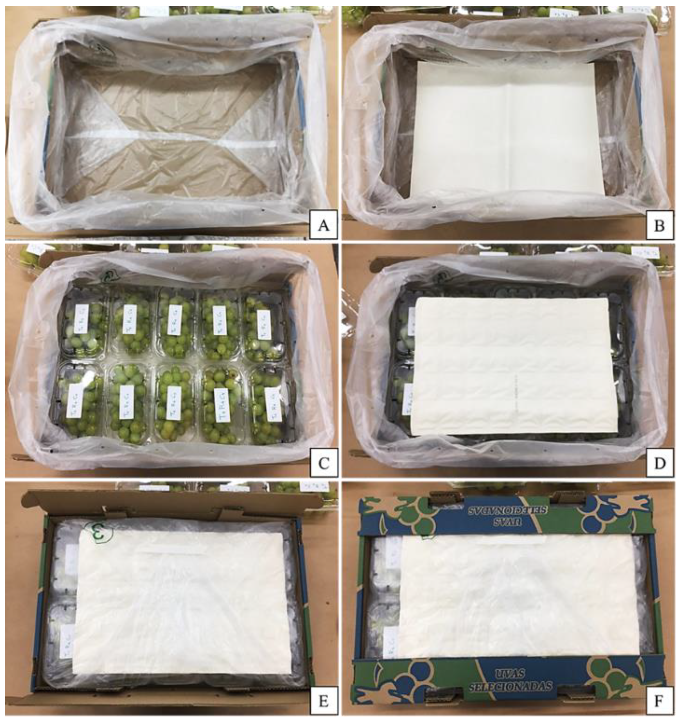 Horticulturae 09 00724 g004