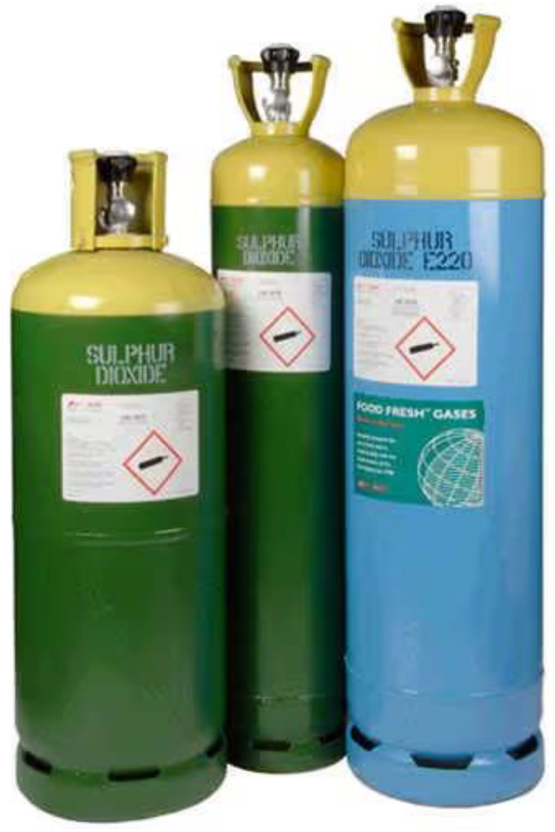 Horticulturae 09 00724 g005