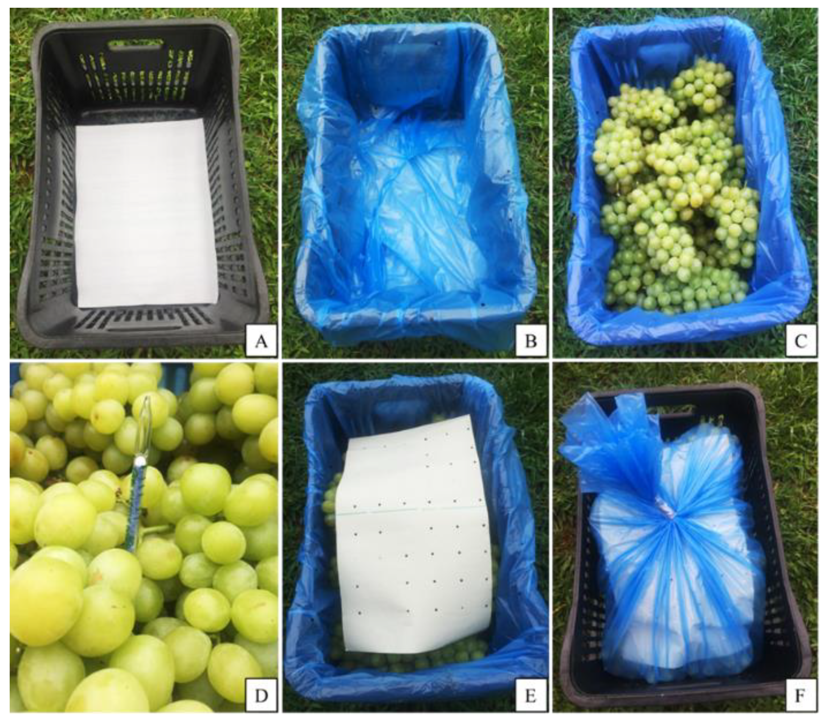 Grapes With Bread Still Life Tote Bag by Tom Mc Nemar - Pixels