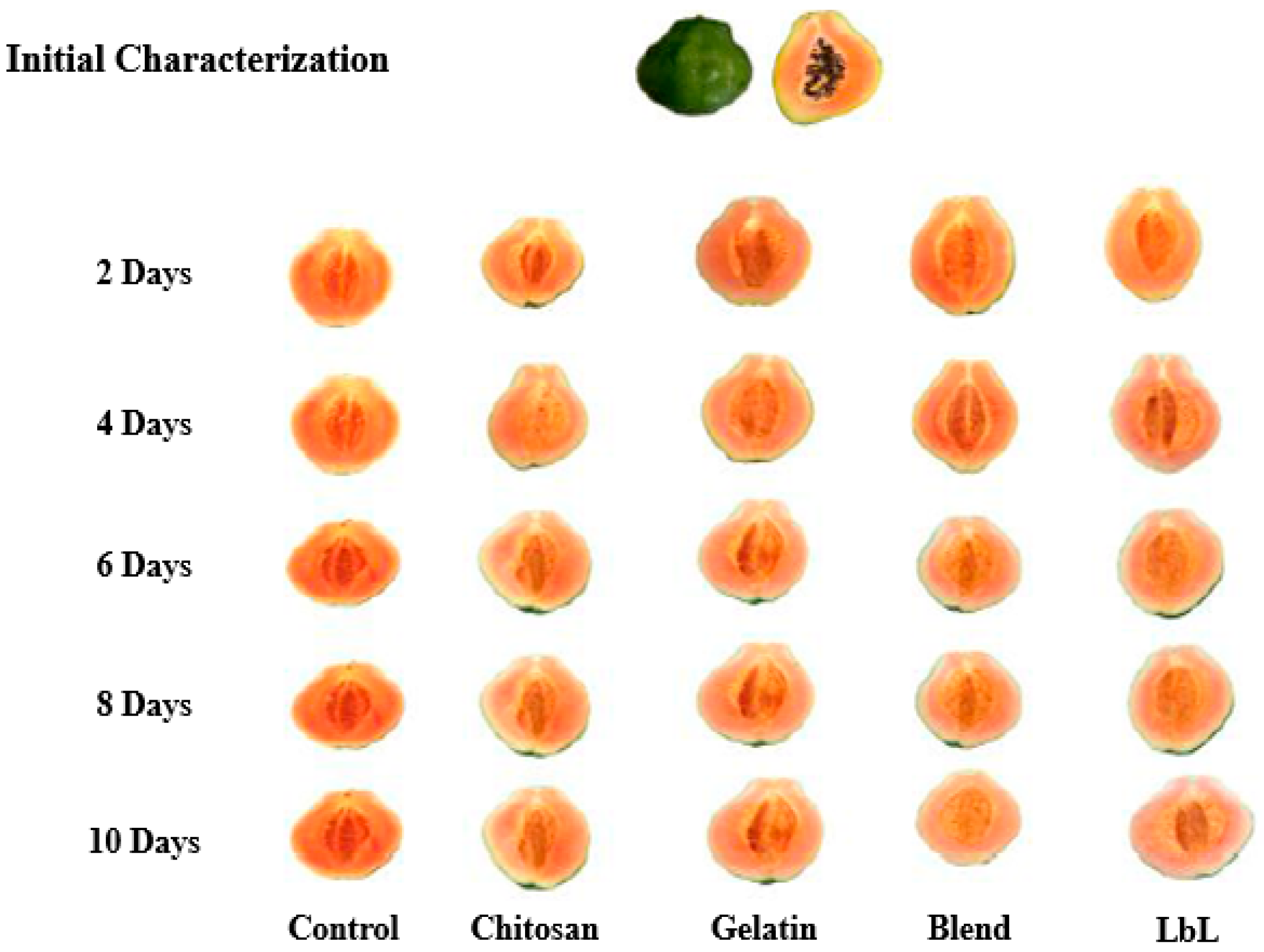 Horticulturae 09 00729 g001 Horticulturae 09 00729 g001