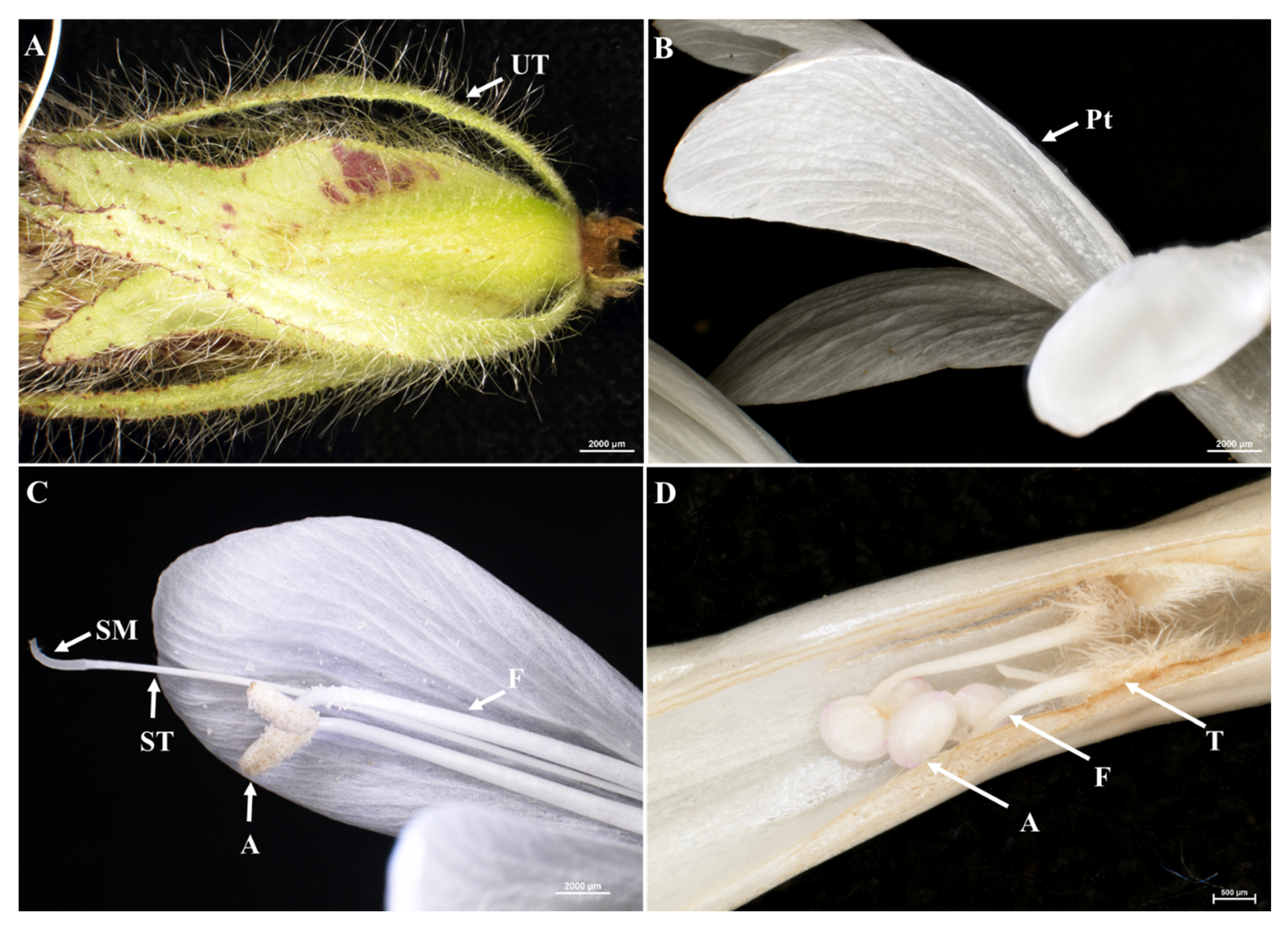 Horticulturae 09 00732 g003