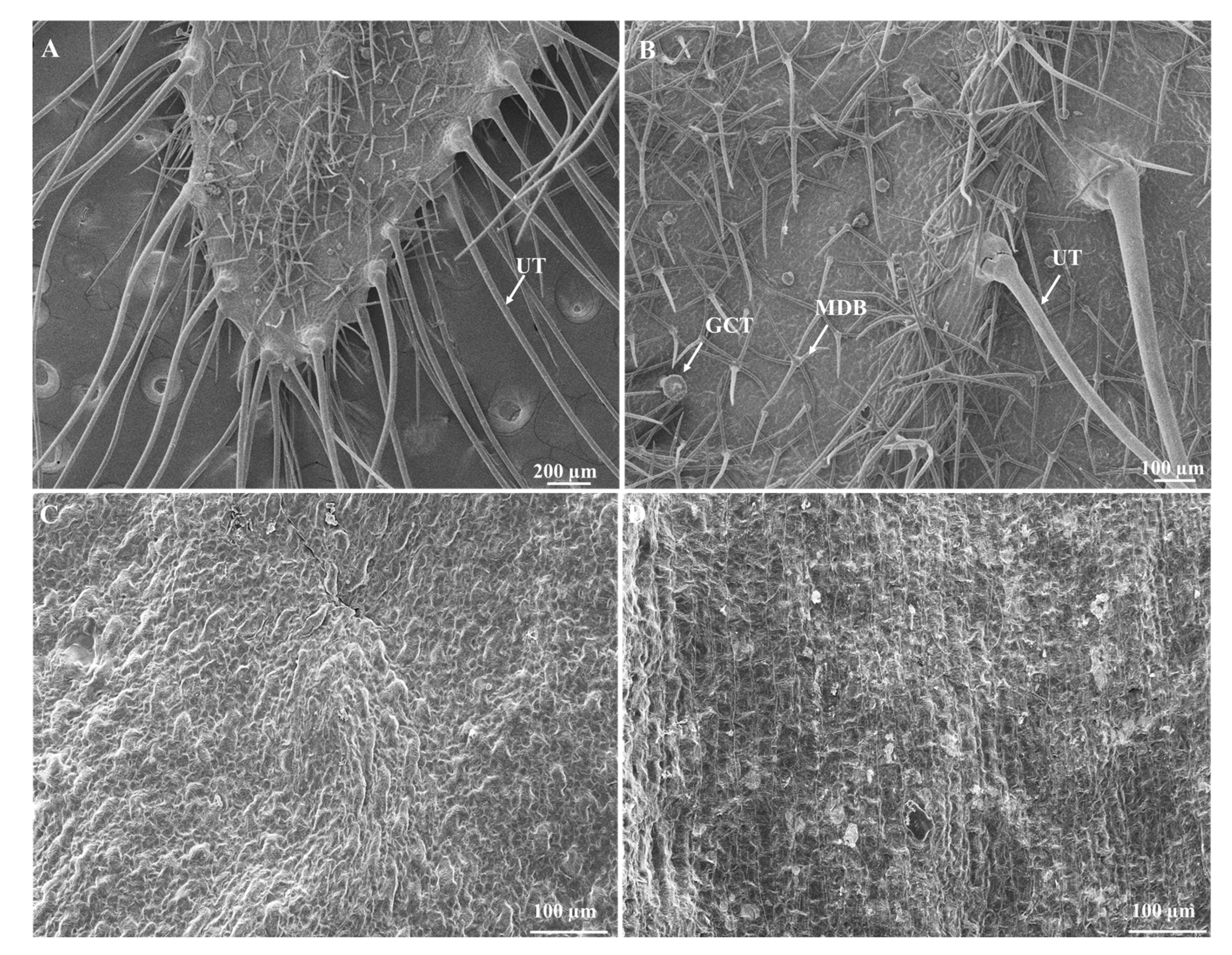 Horticulturae 09 00732 g004