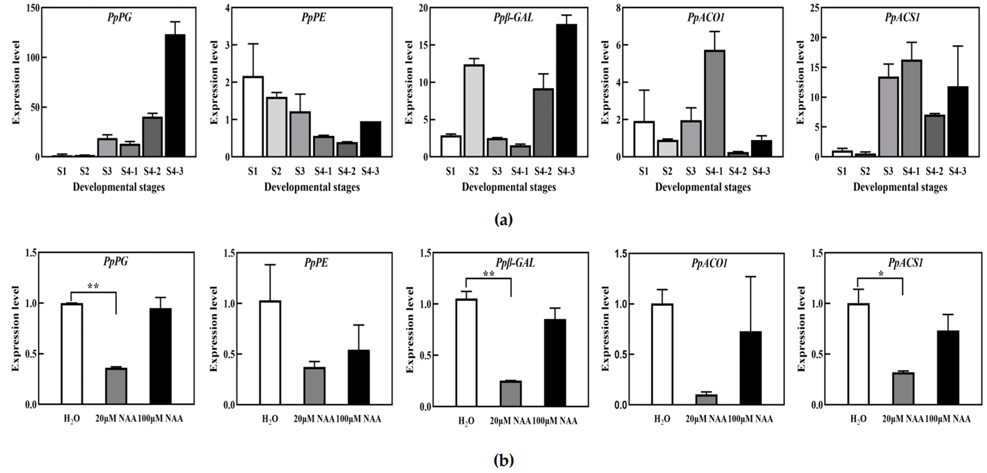 Horticulturae 09 00734 g002
