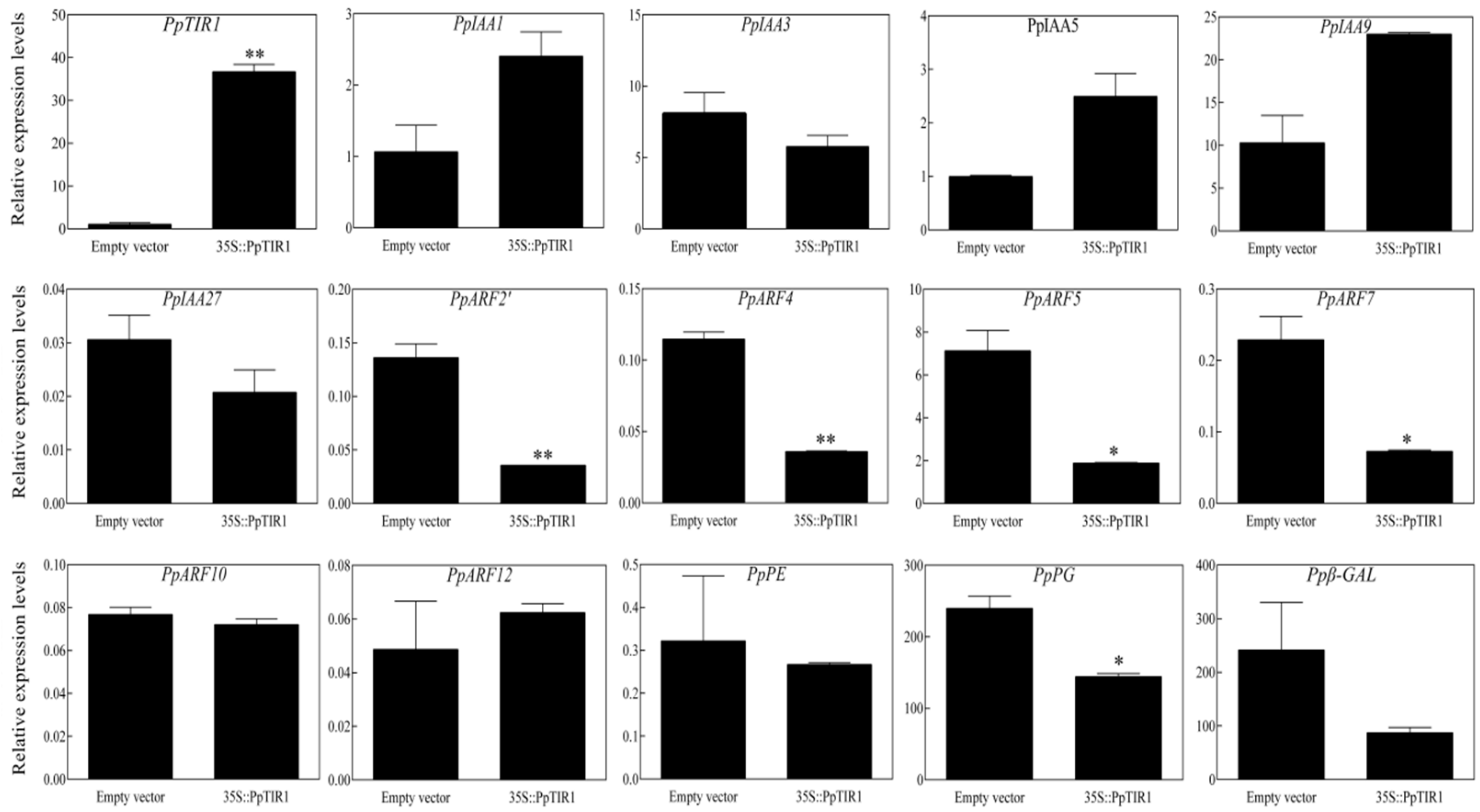 Horticulturae 09 00734 g003