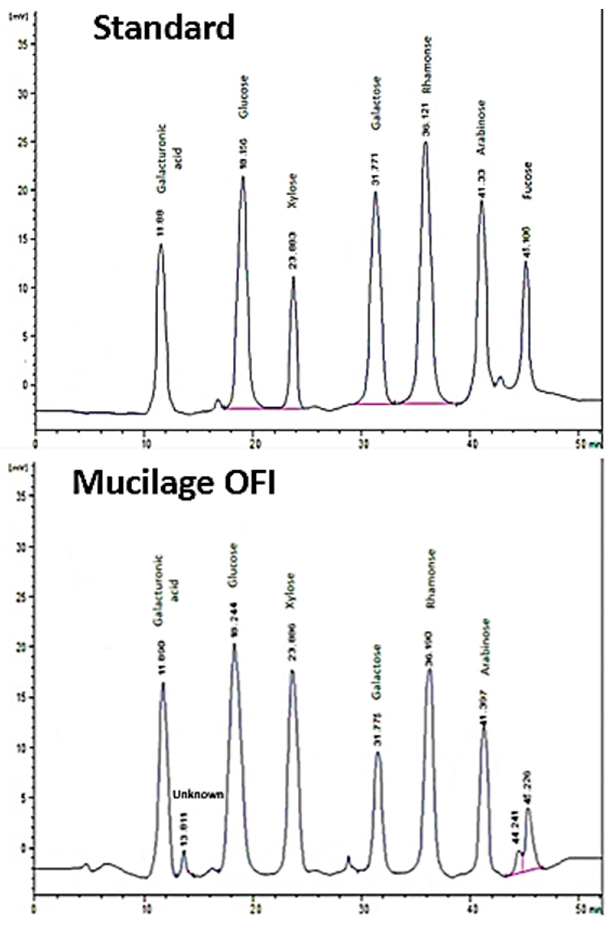 Horticulturae 09 00736 g002 550