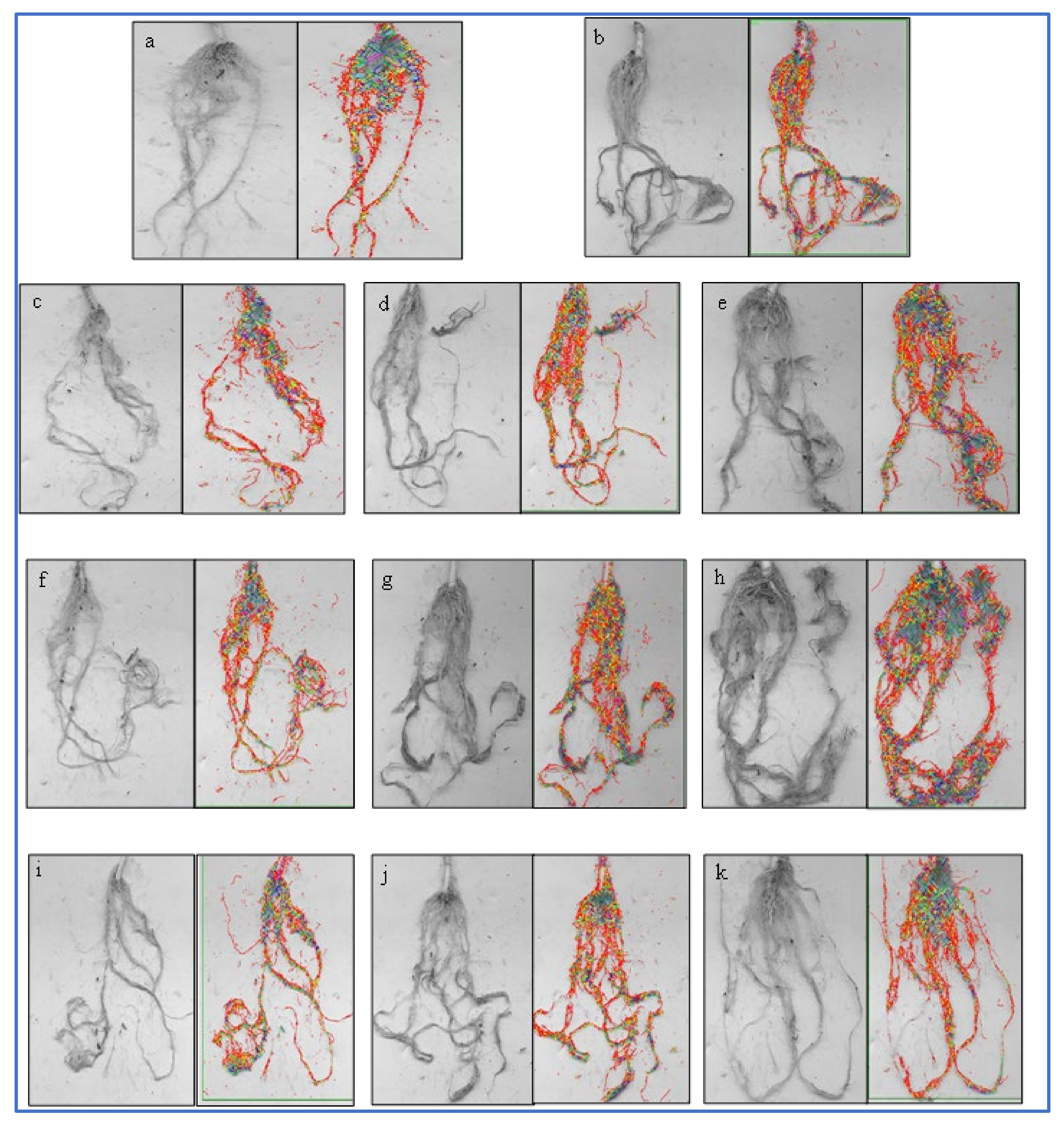 Horticulturae 09 00738 g006