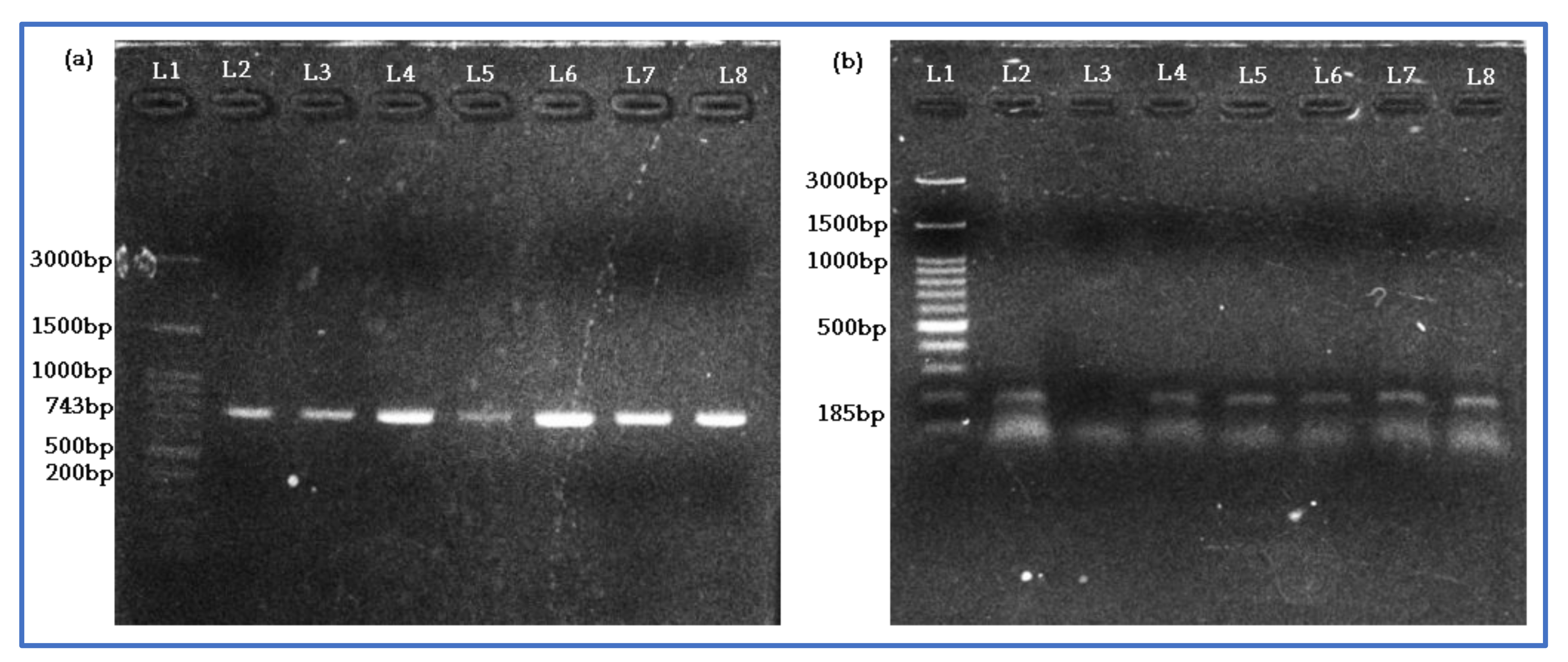 Horticulturae 09 00738 g010