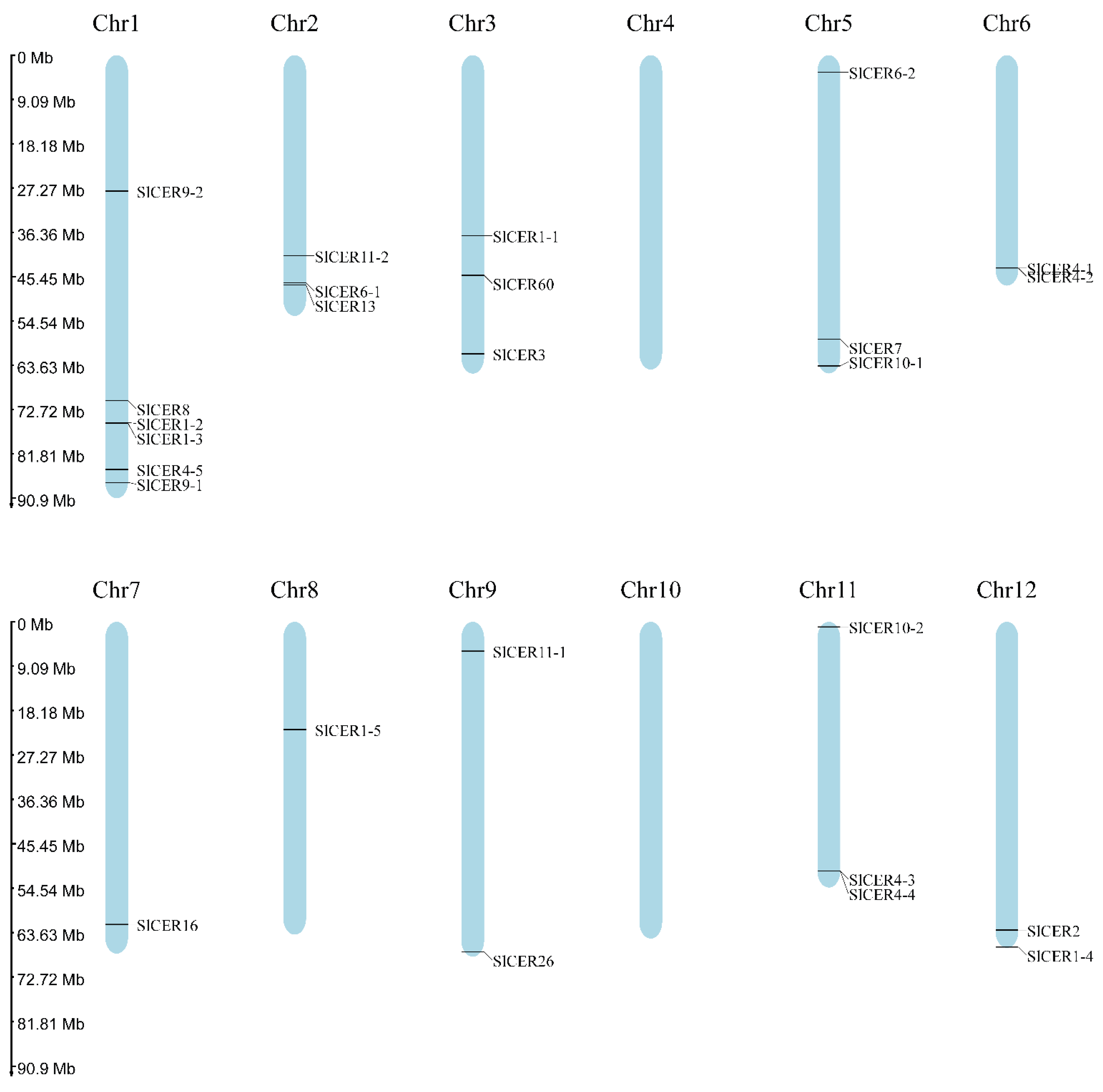 Horticulturae 09 00748 g001
