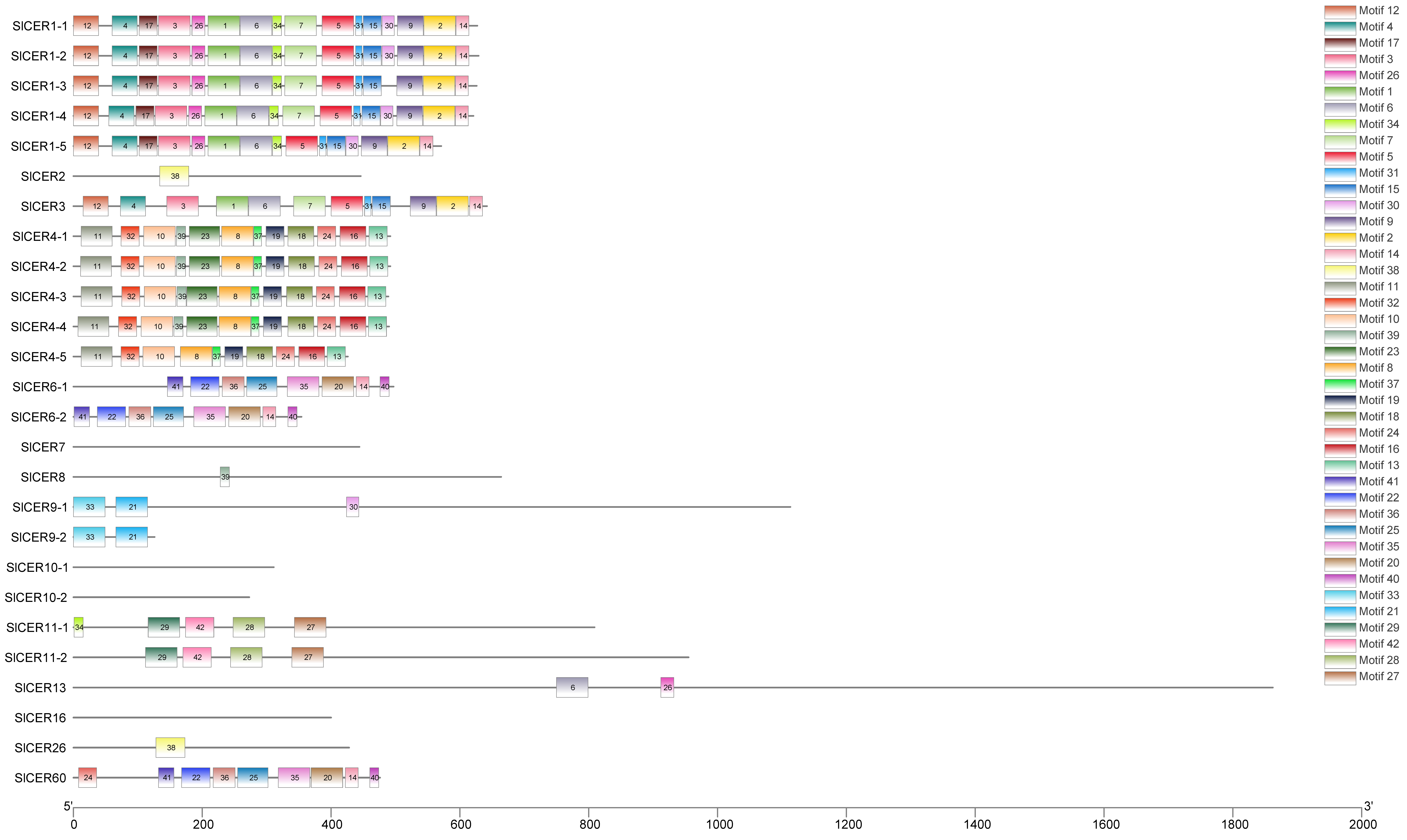 Horticulturae 09 00748 g003