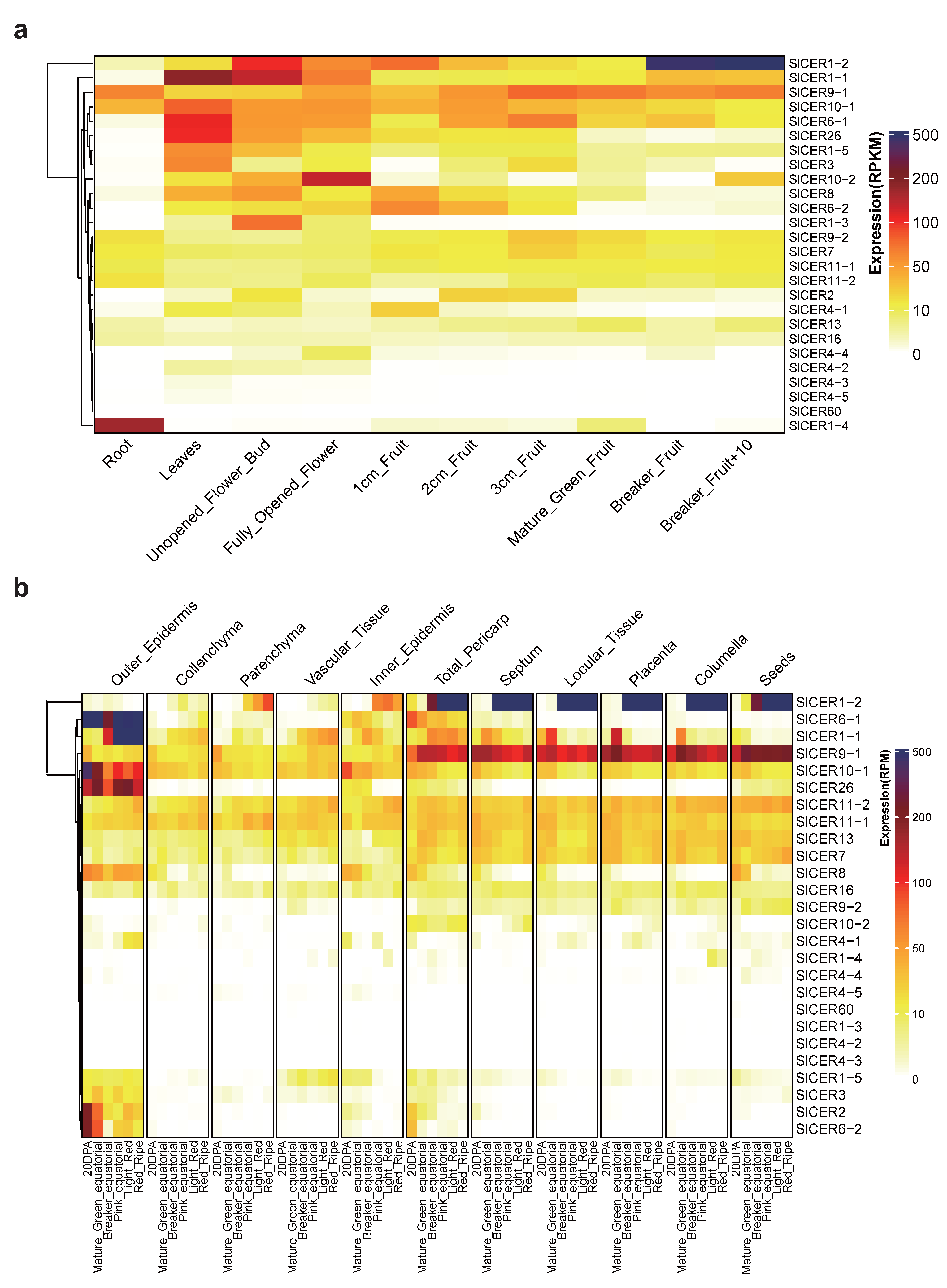 Horticulturae 09 00748 g006