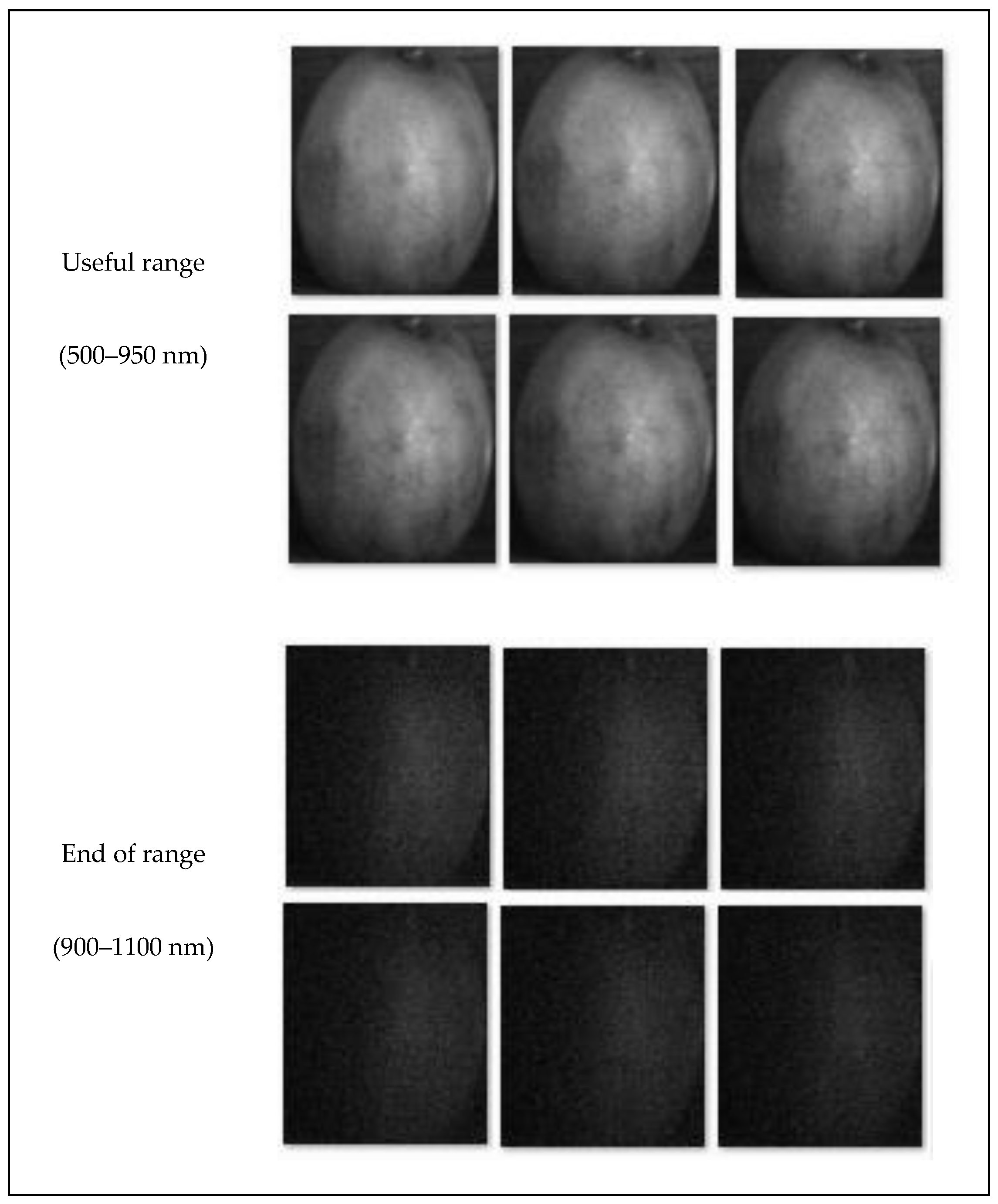 Horticulturae 09 00750 g003b